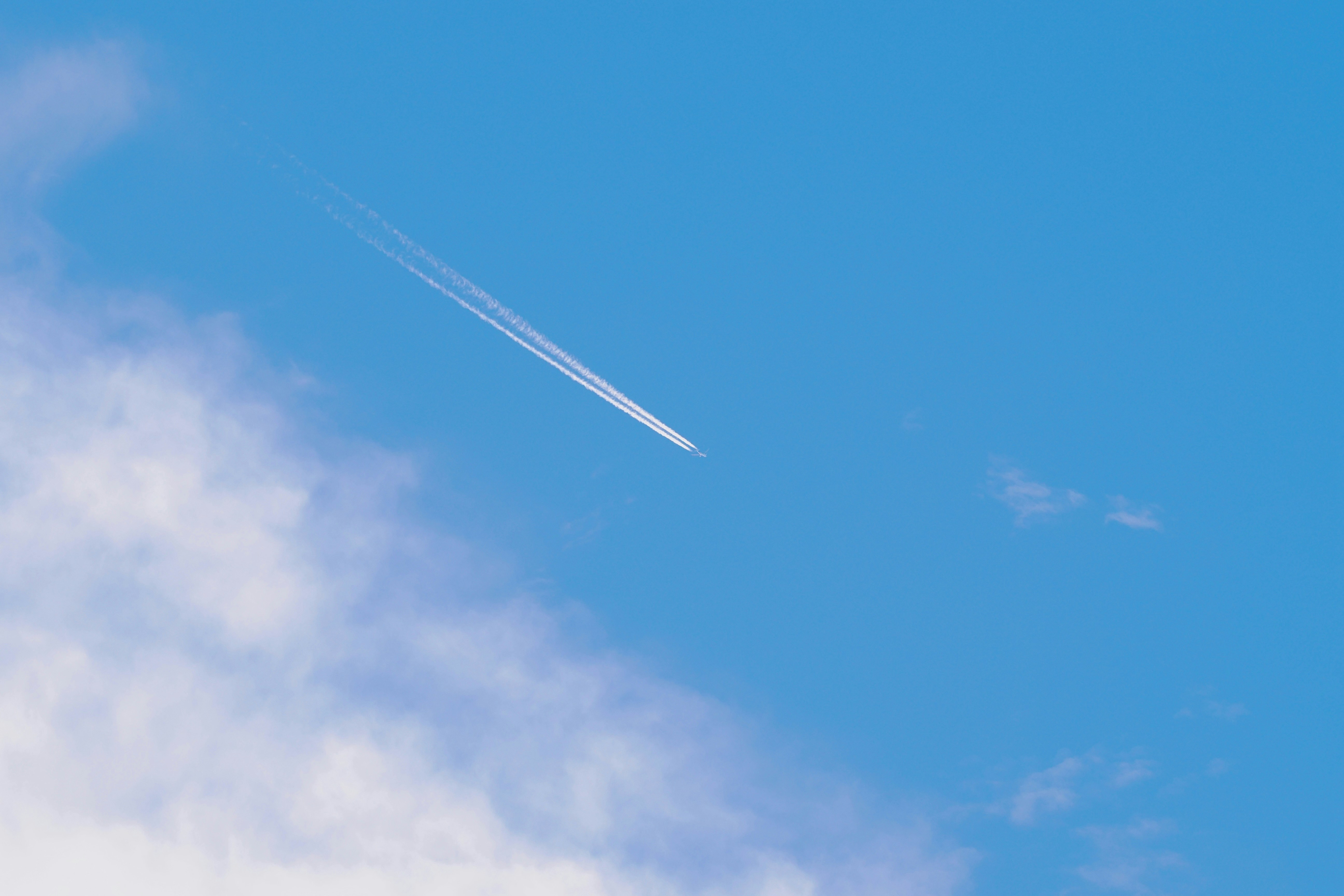 Photo by liliantruong2603