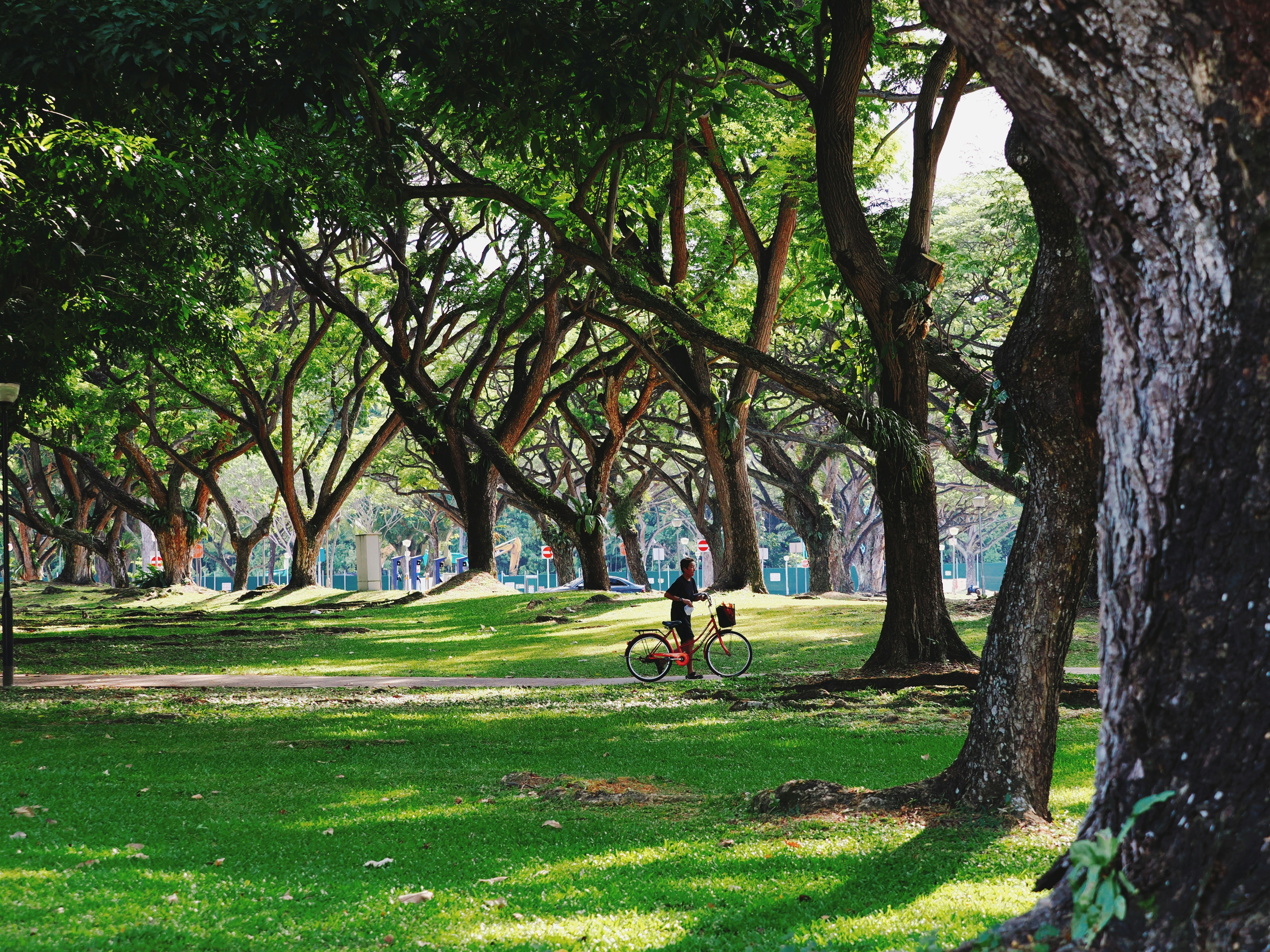 Photo by liliantruong2603