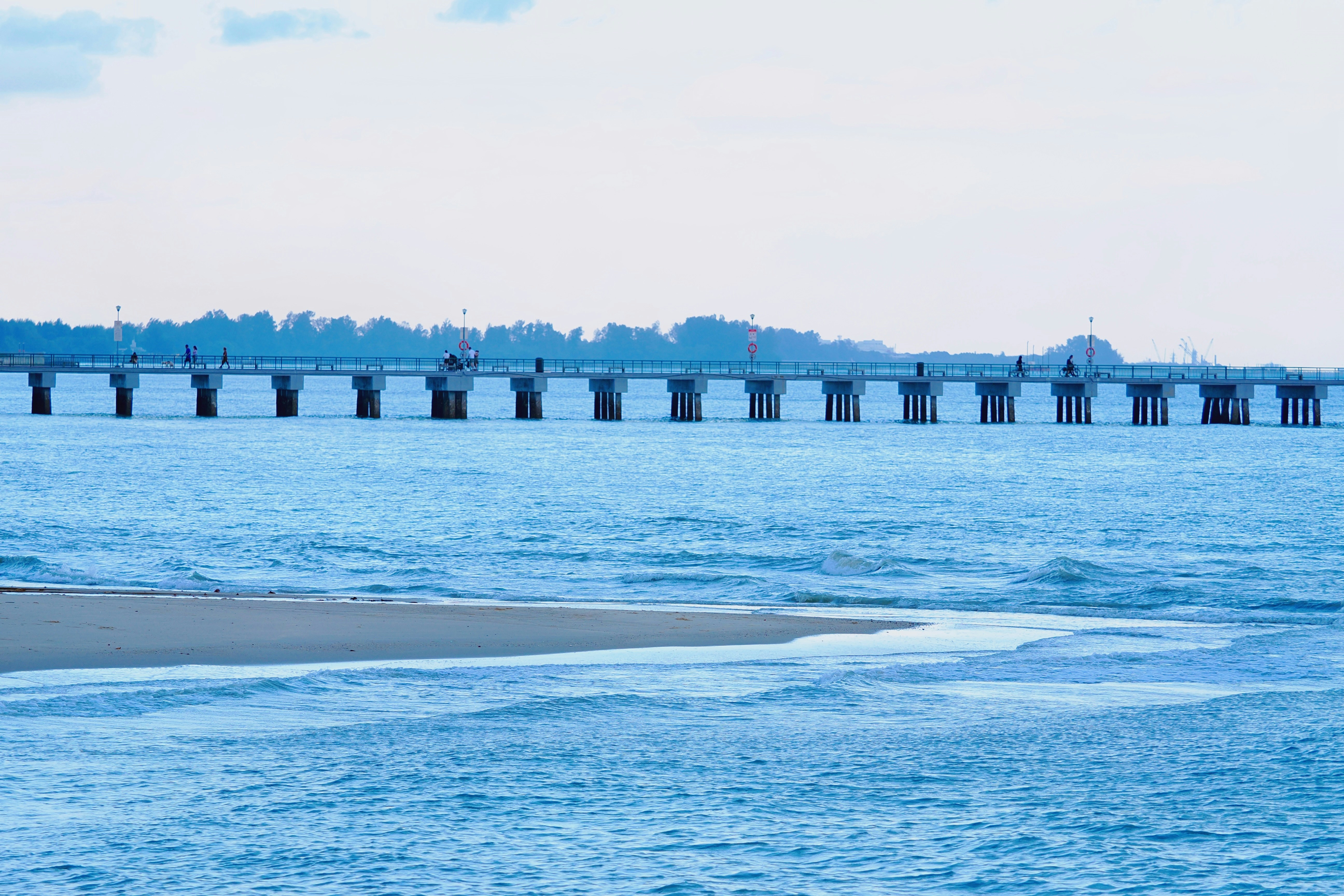 Photo by liliantruong2603