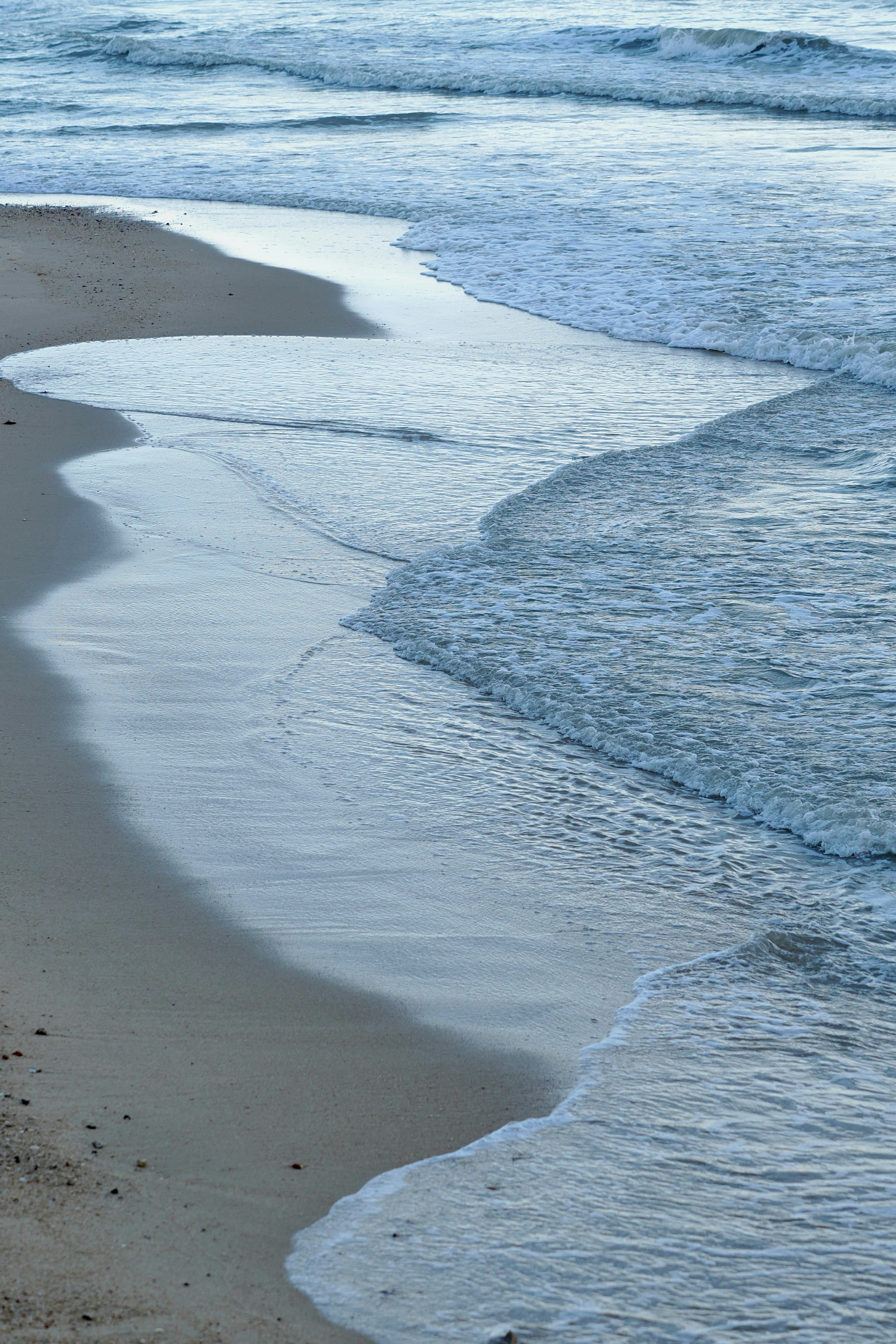 Photo by liliantruong2603