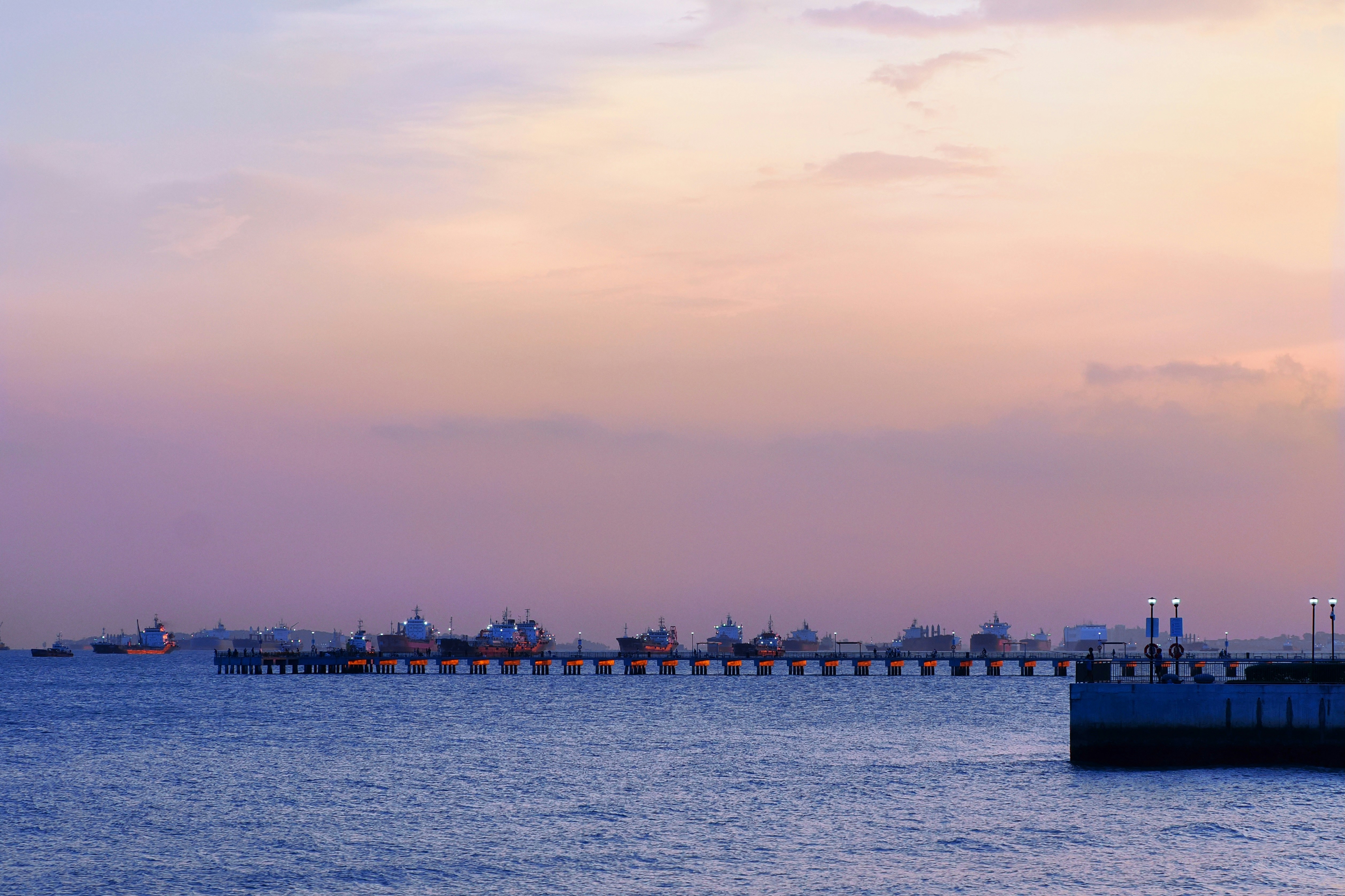 Photo by liliantruong2603