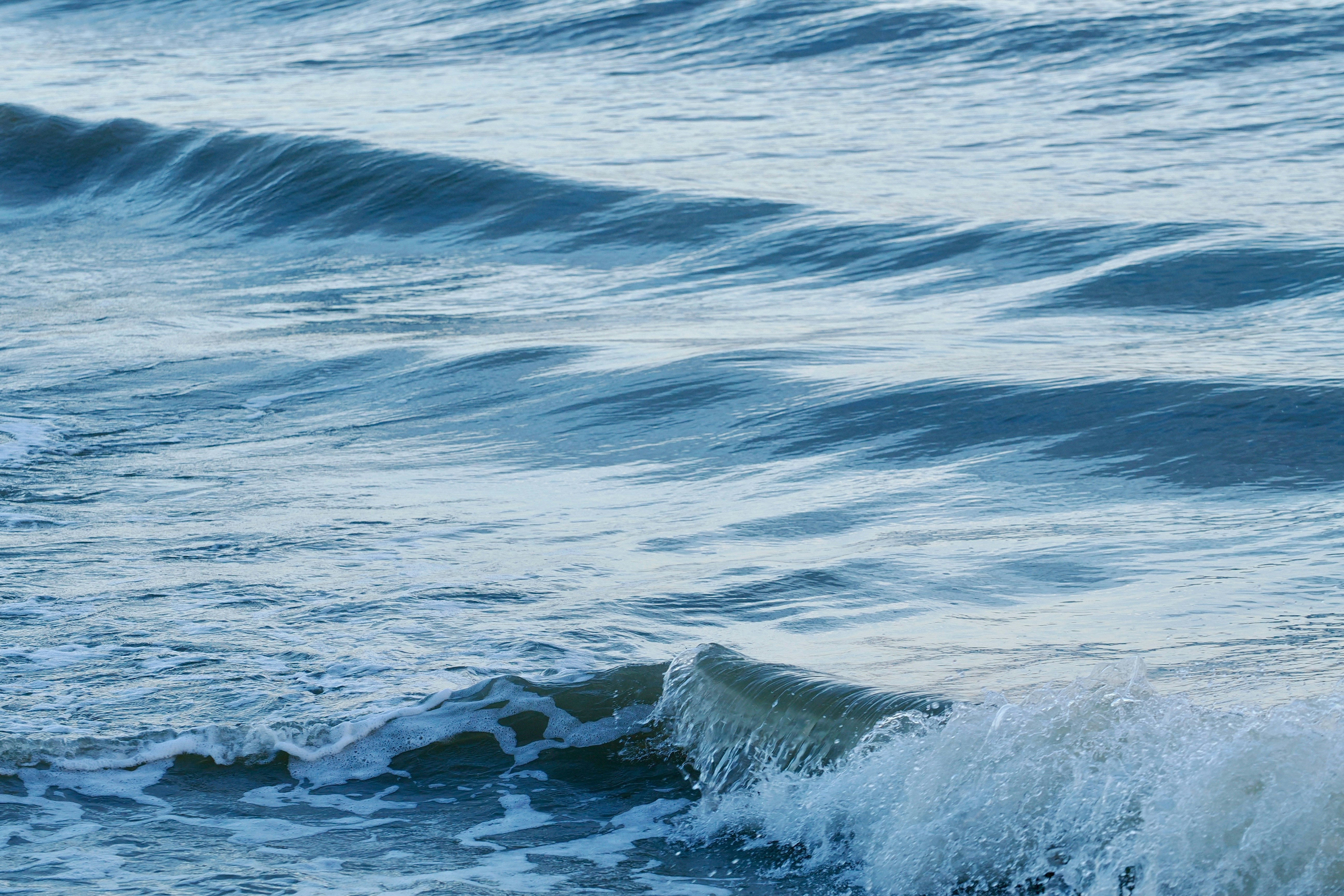 Photo by liliantruong2603