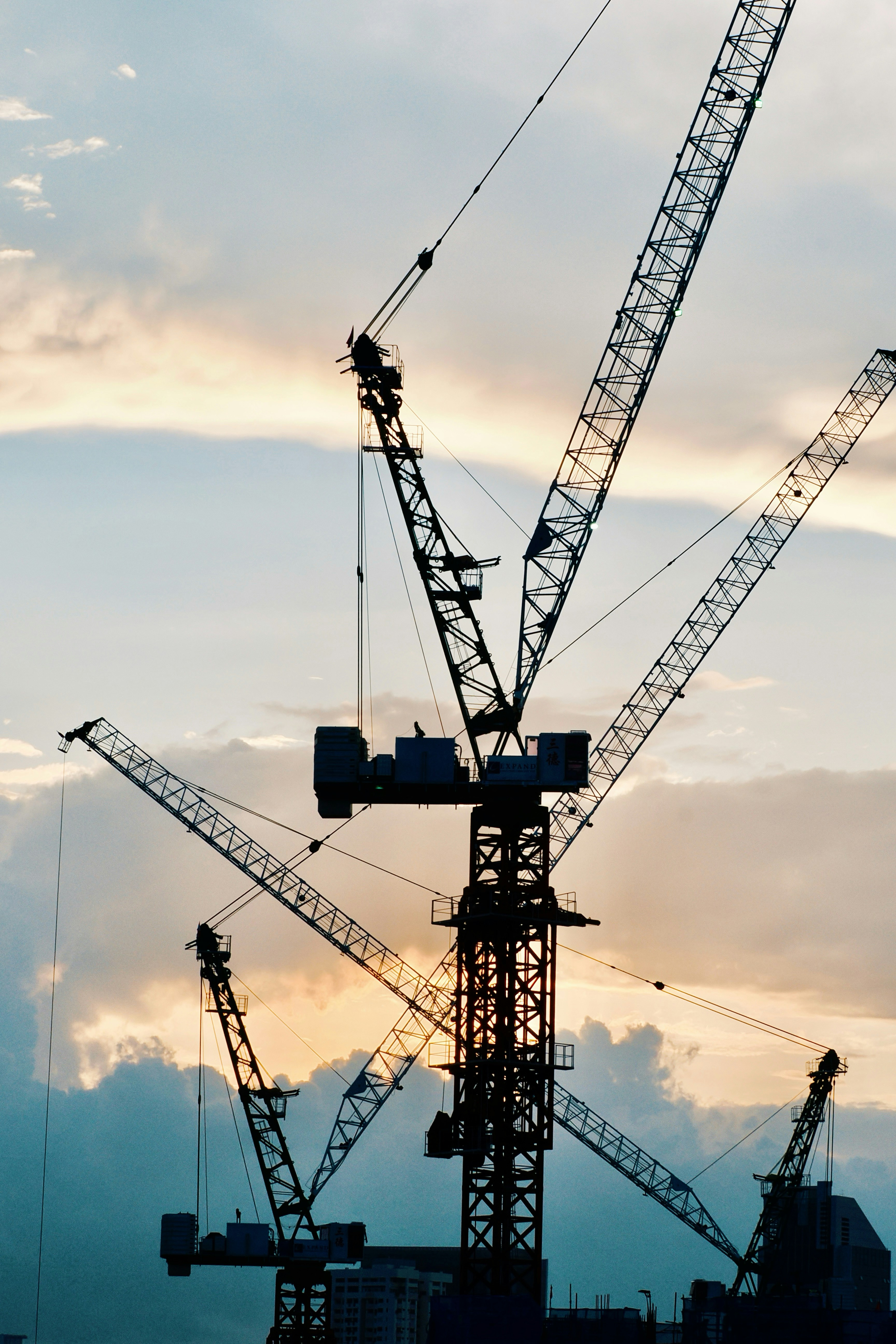 Photo by liliantruong2603