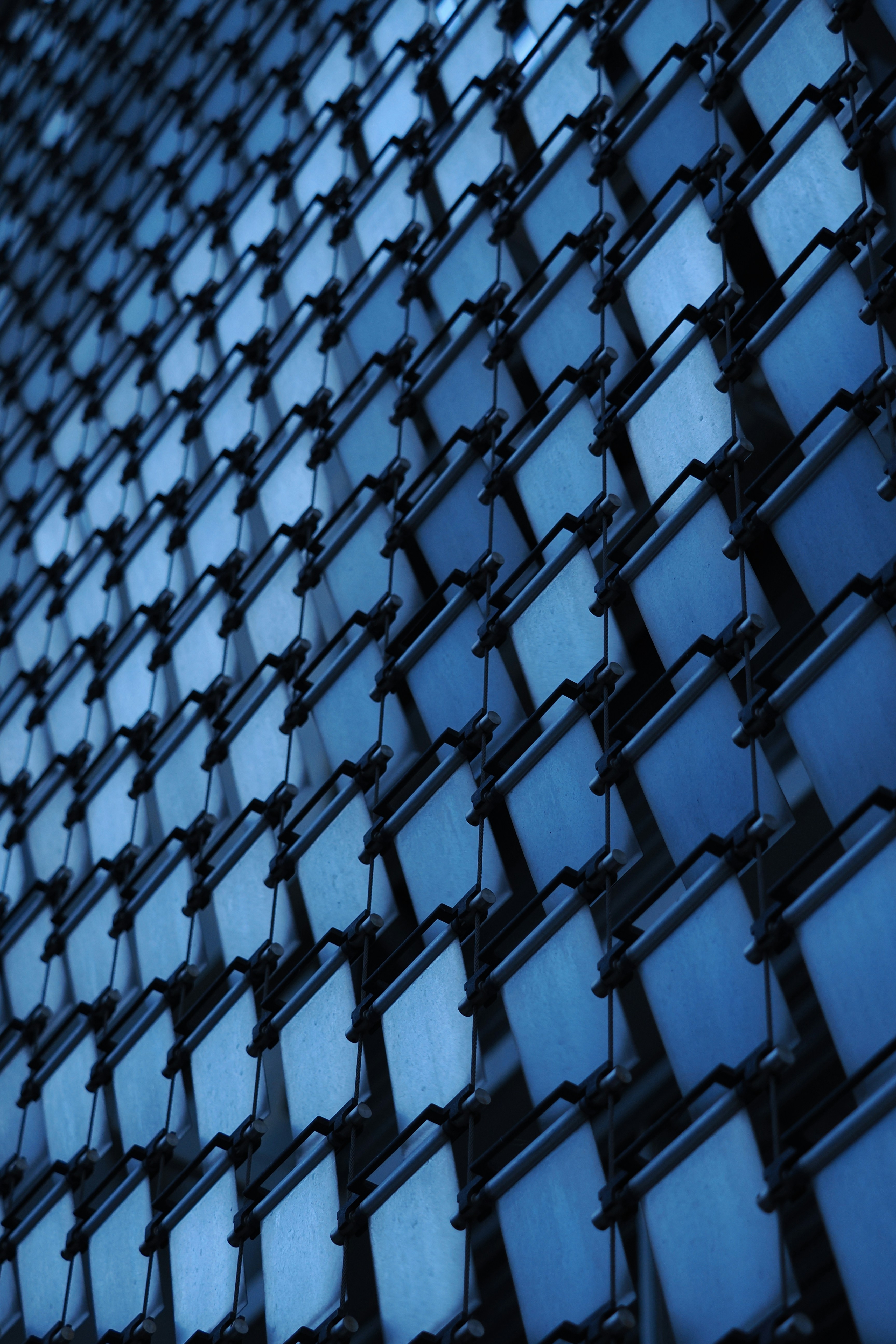 Photo by liliantruong2603