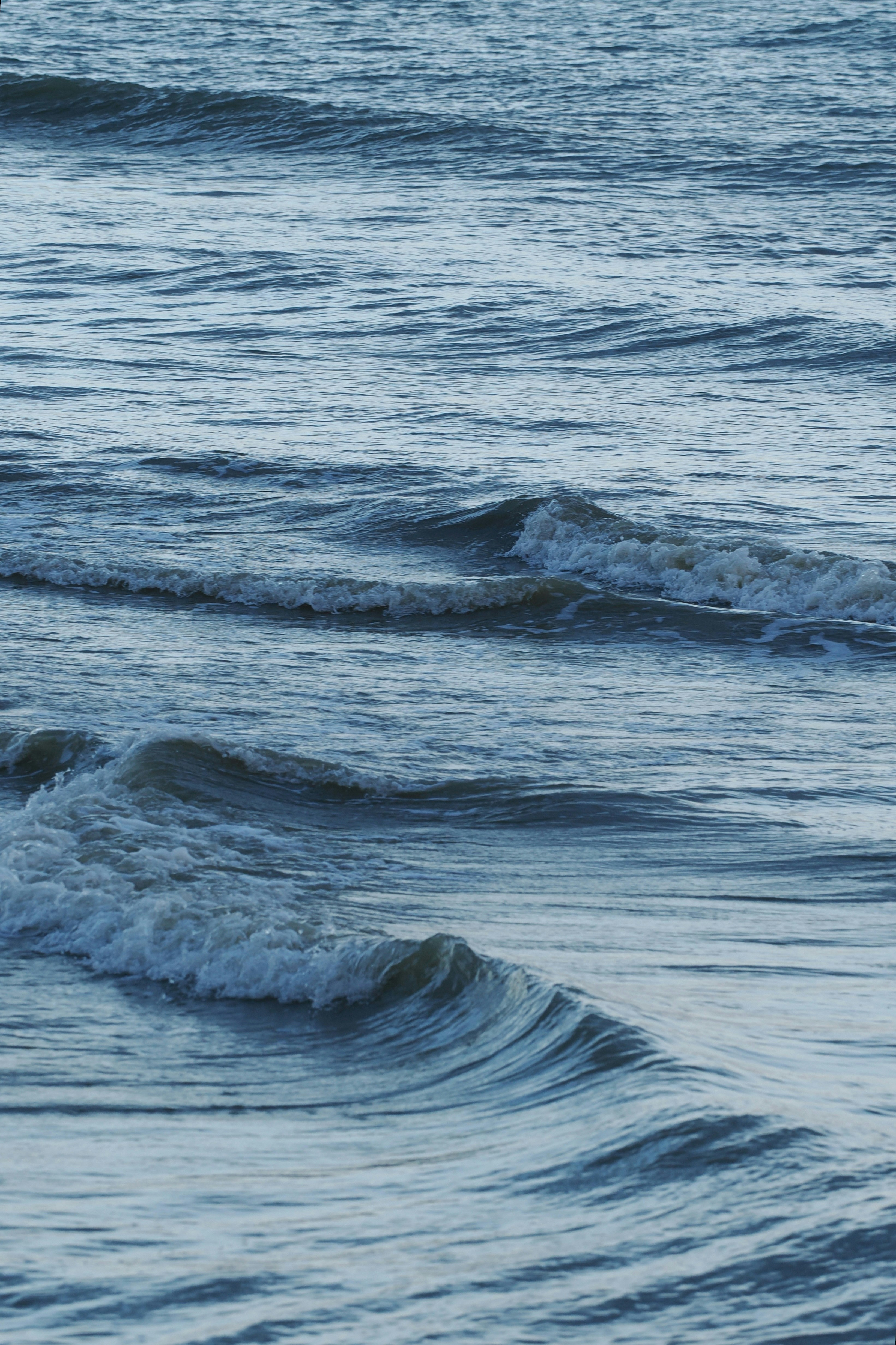 Photo by liliantruong2603