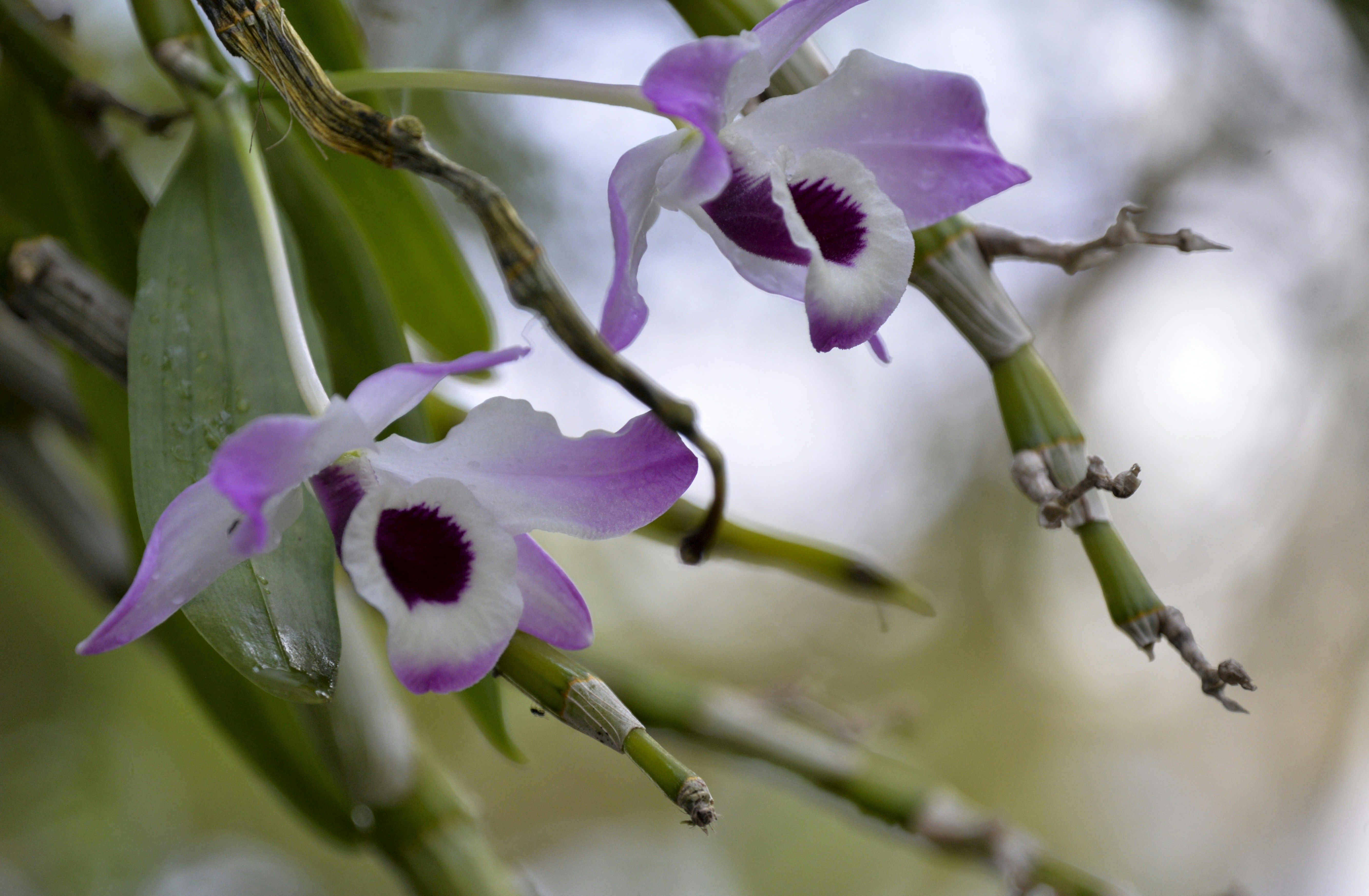 Photo by terezakouba