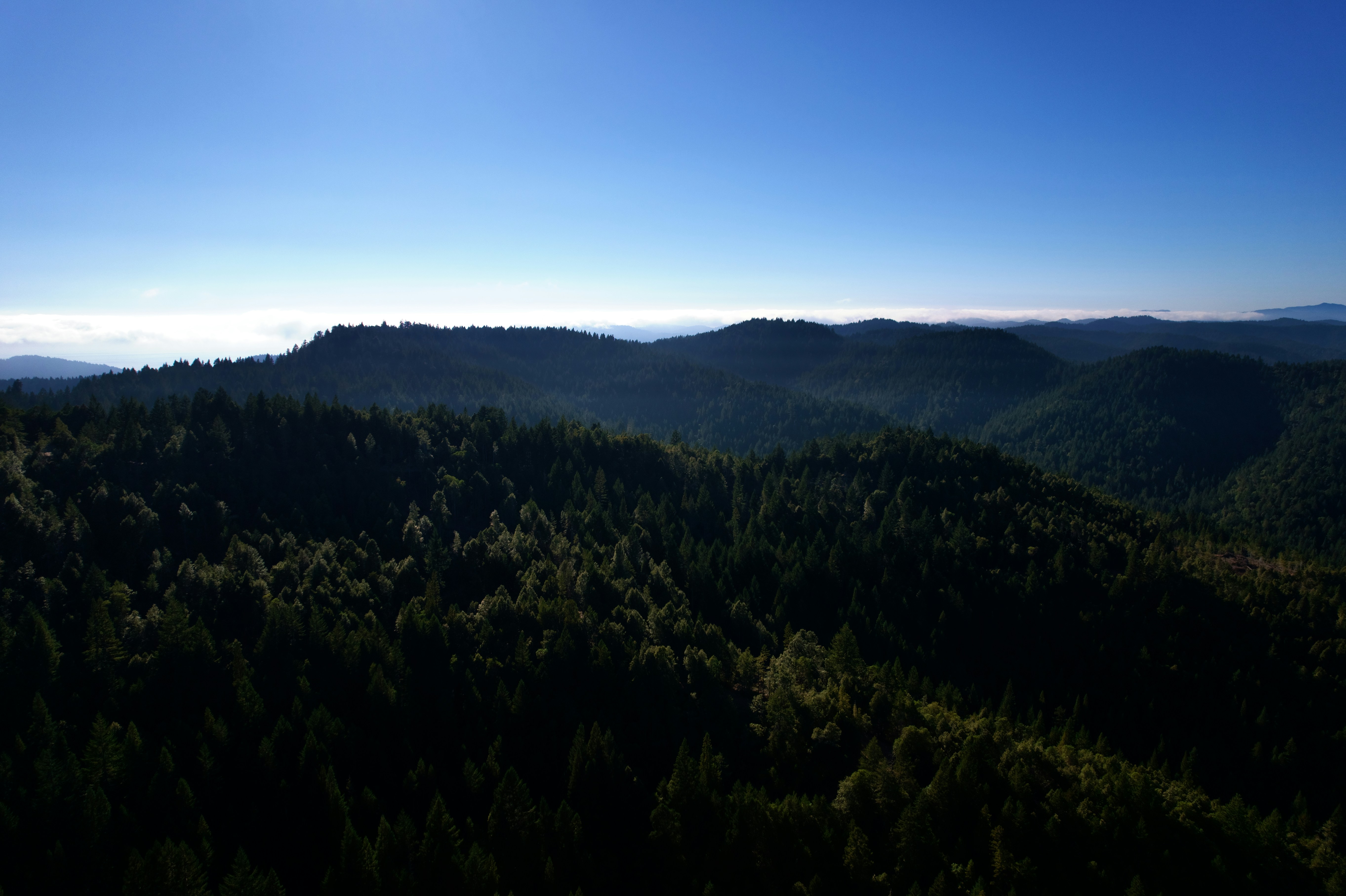 Photo by ejmoralesoyola