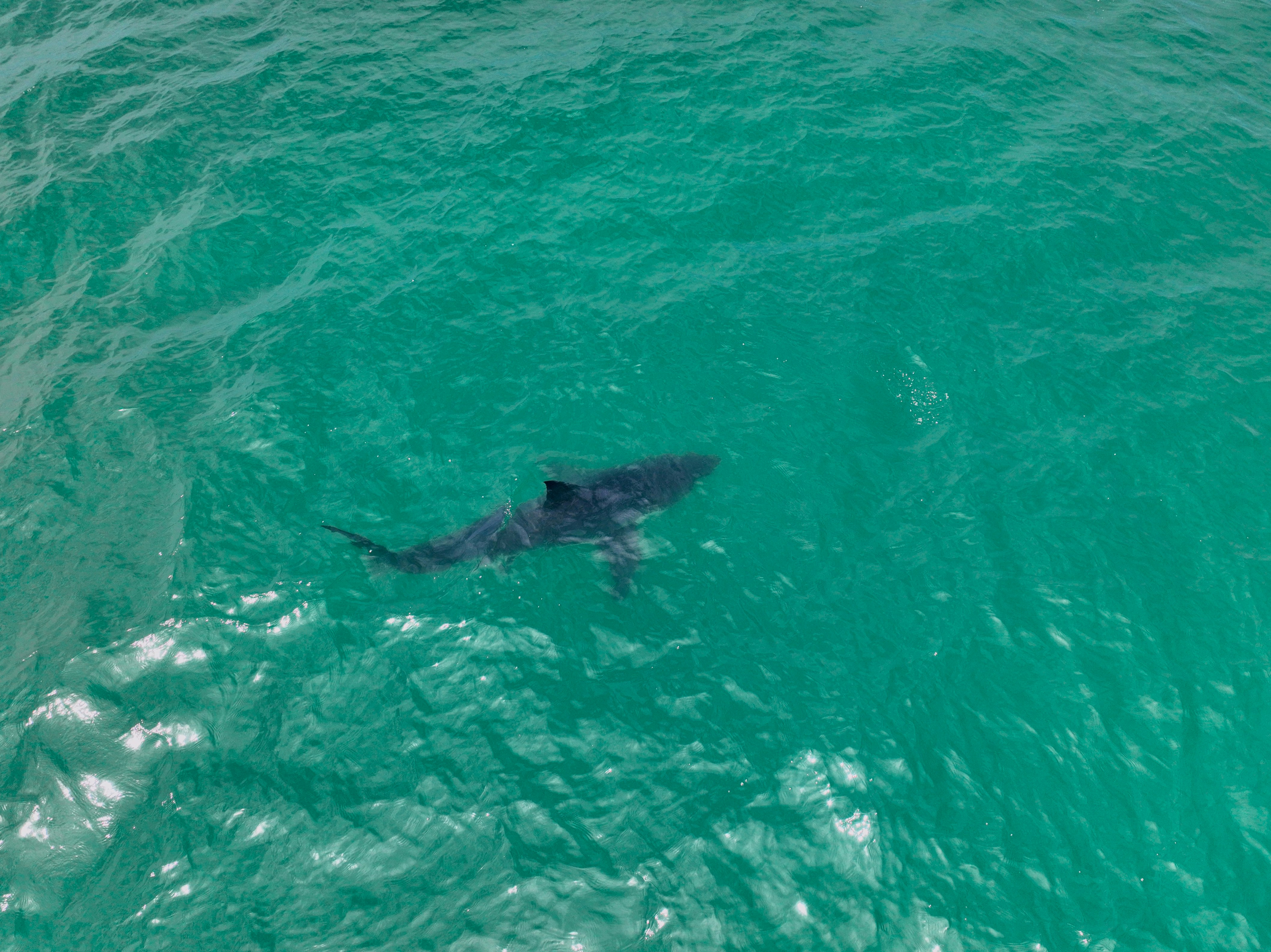 Photo by ejmoralesoyola