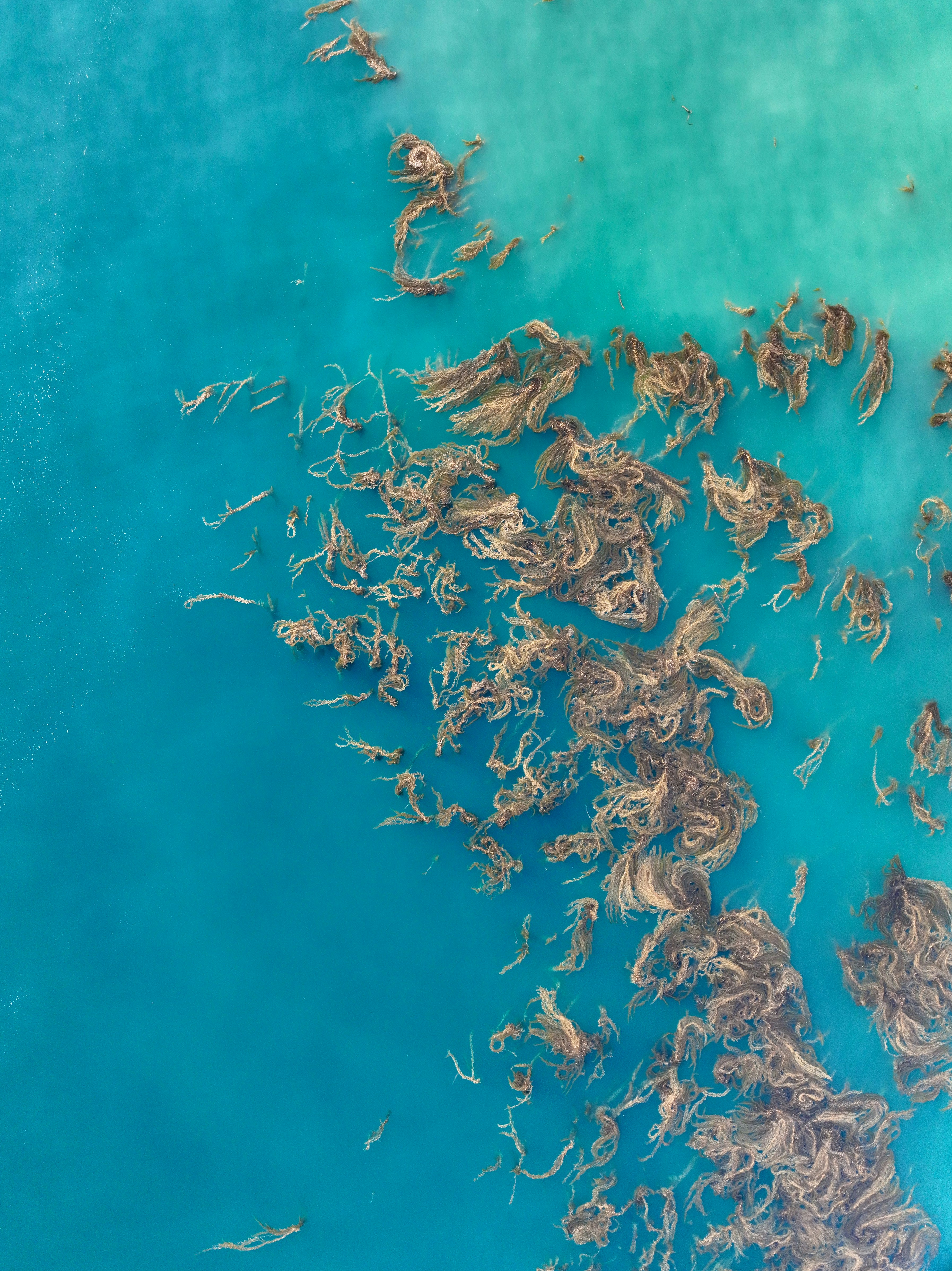 Photo by ejmoralesoyola