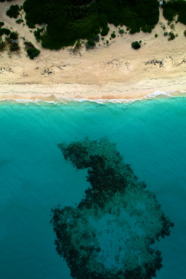 Coastal destination landscape