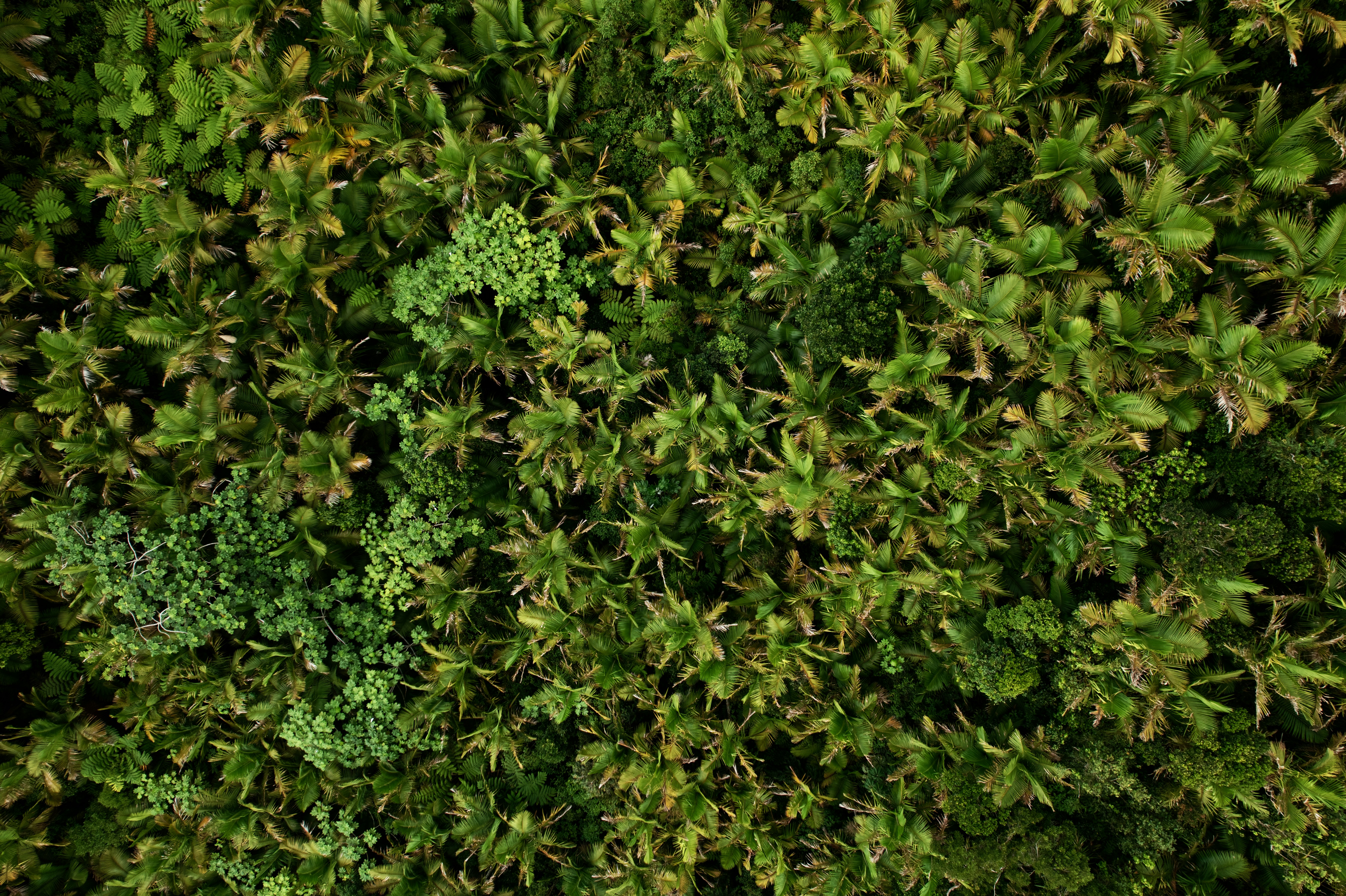 Photo by ejmoralesoyola