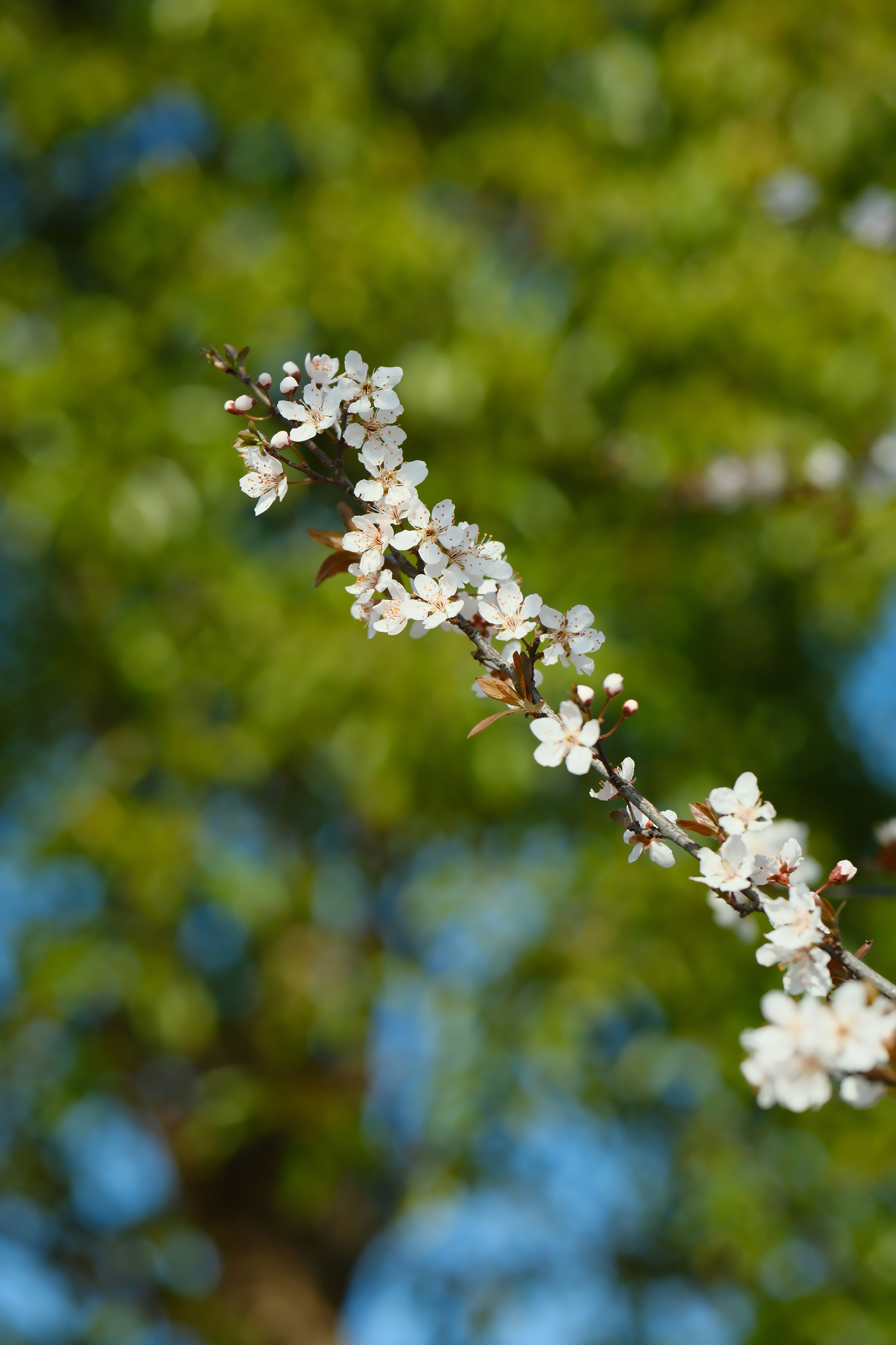 Photo by startdig
