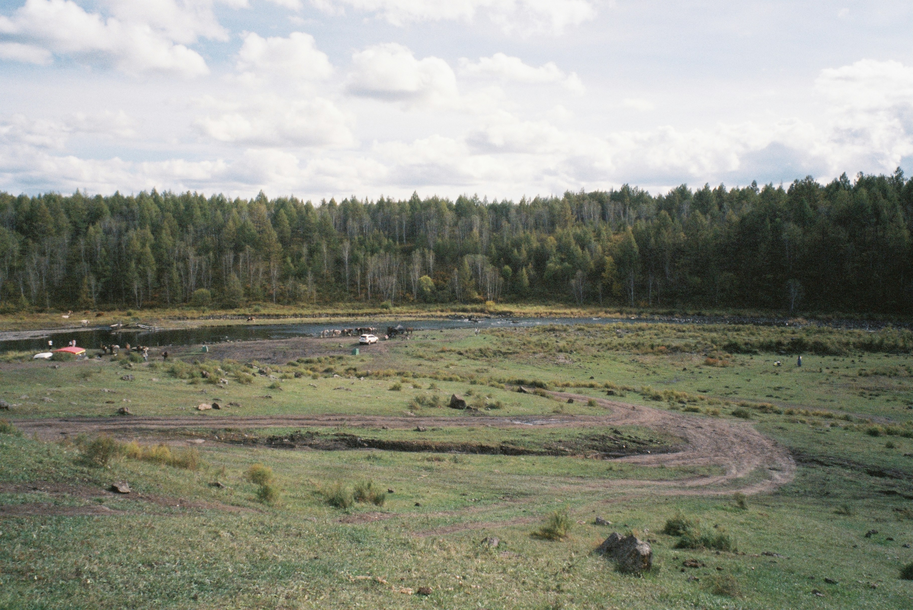 Runeberginpuisto