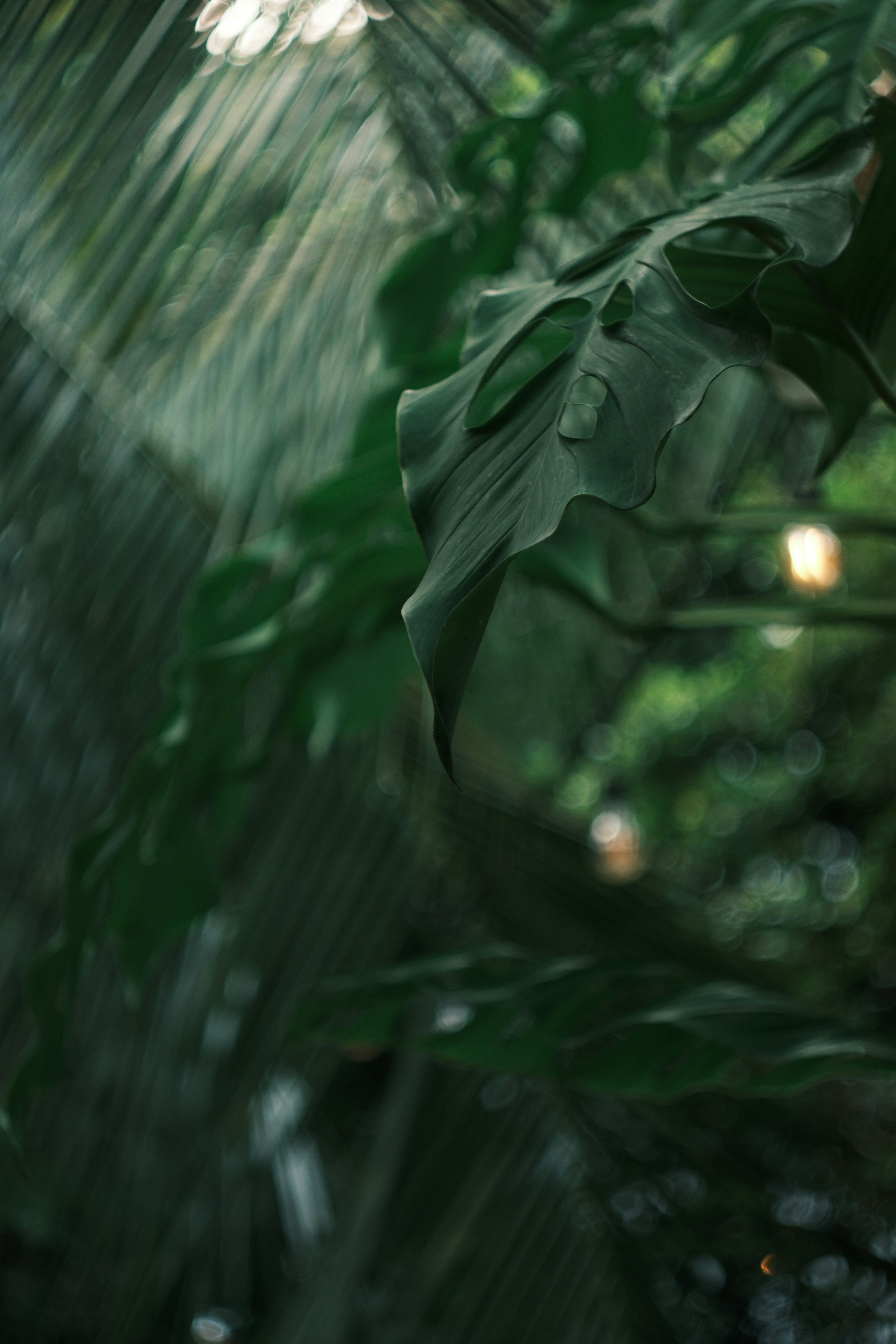 Photo by phuocsangvn