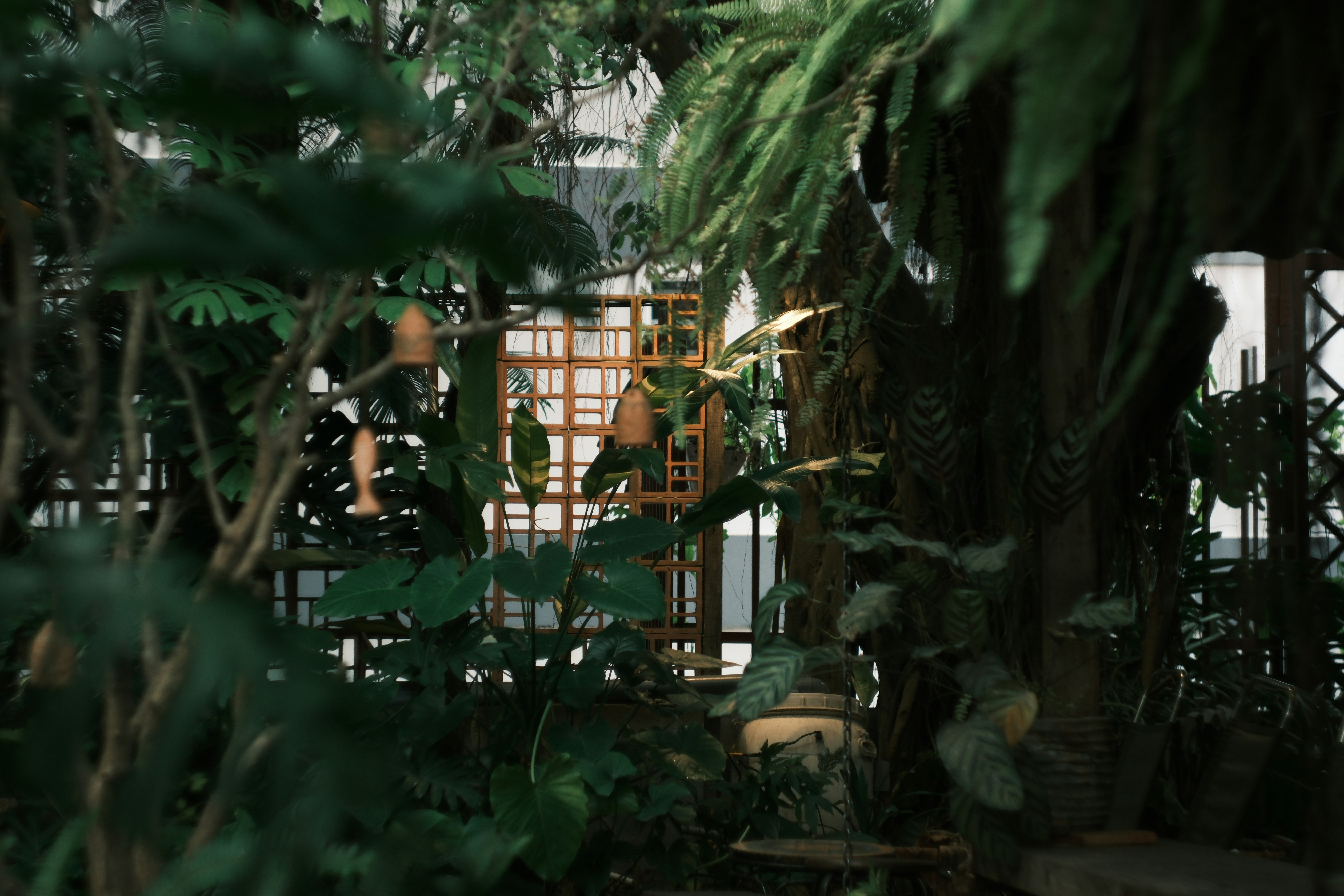 Photo by phuocsangvn