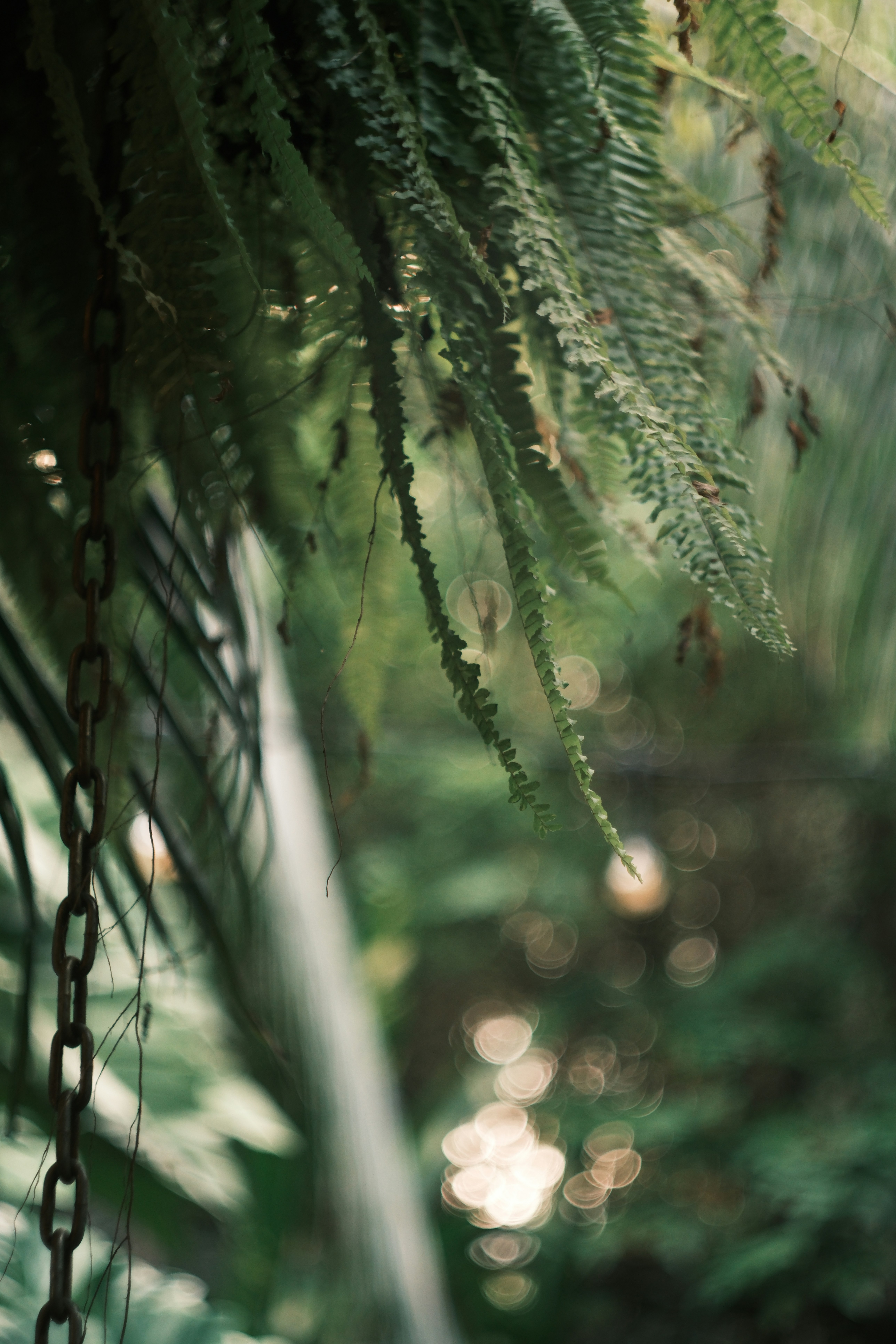 Photo by phuocsangvn