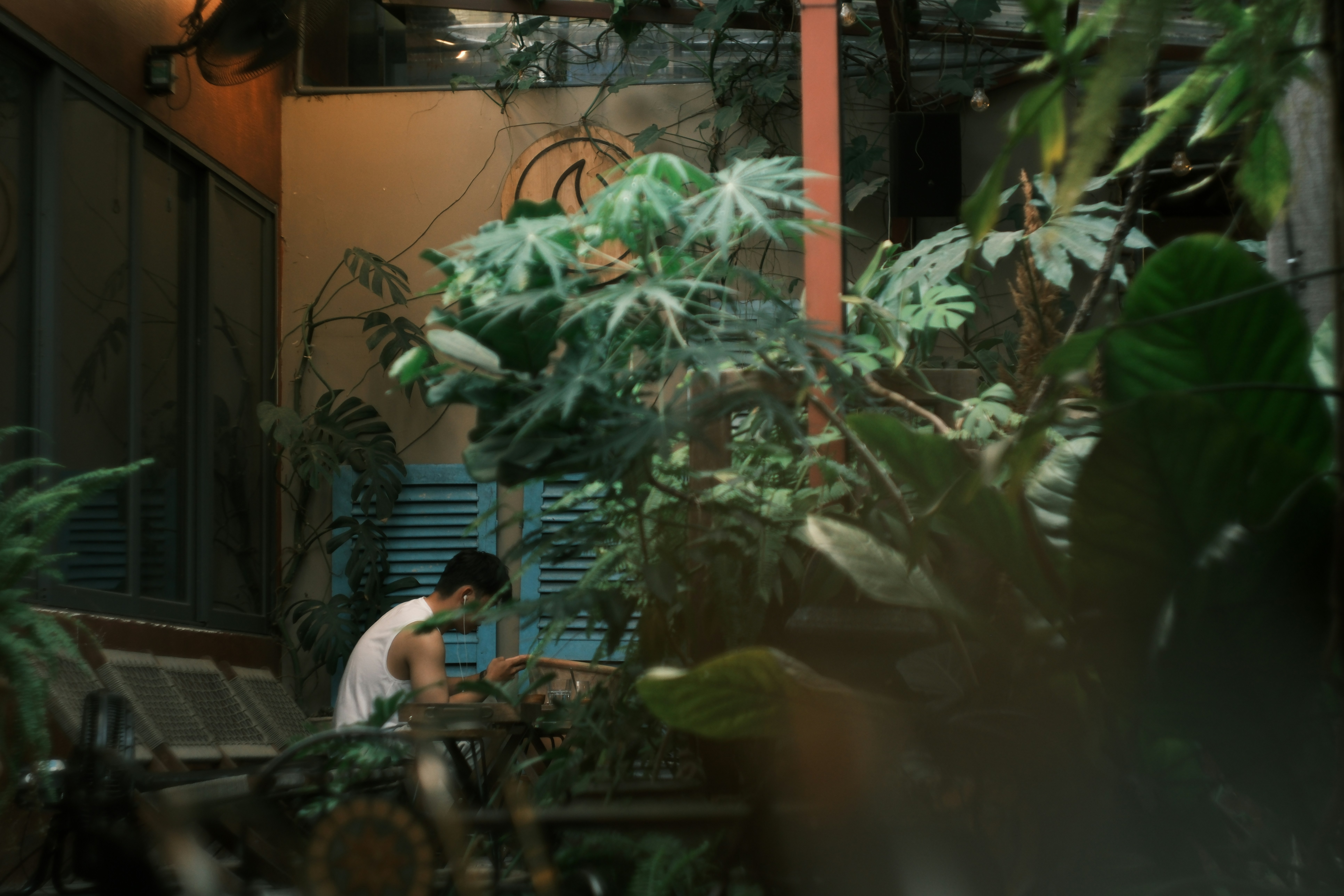 Photo by phuocsangvn