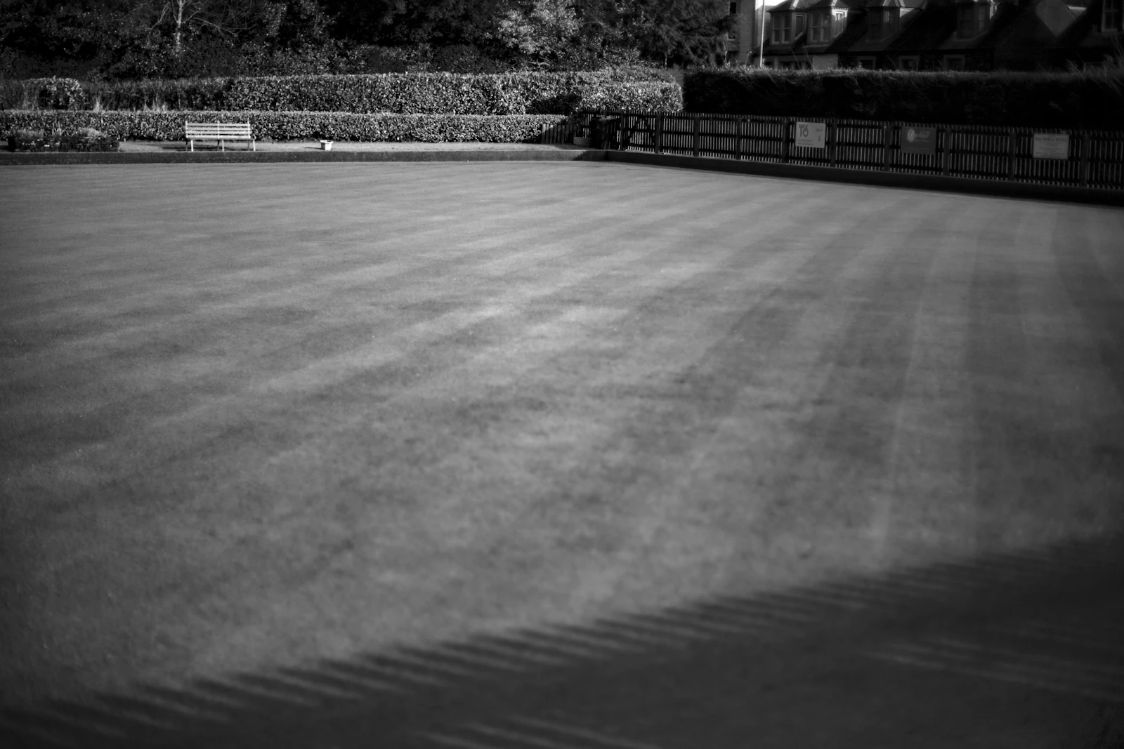 A manicured lawn with striped mowing patterns running across the grass