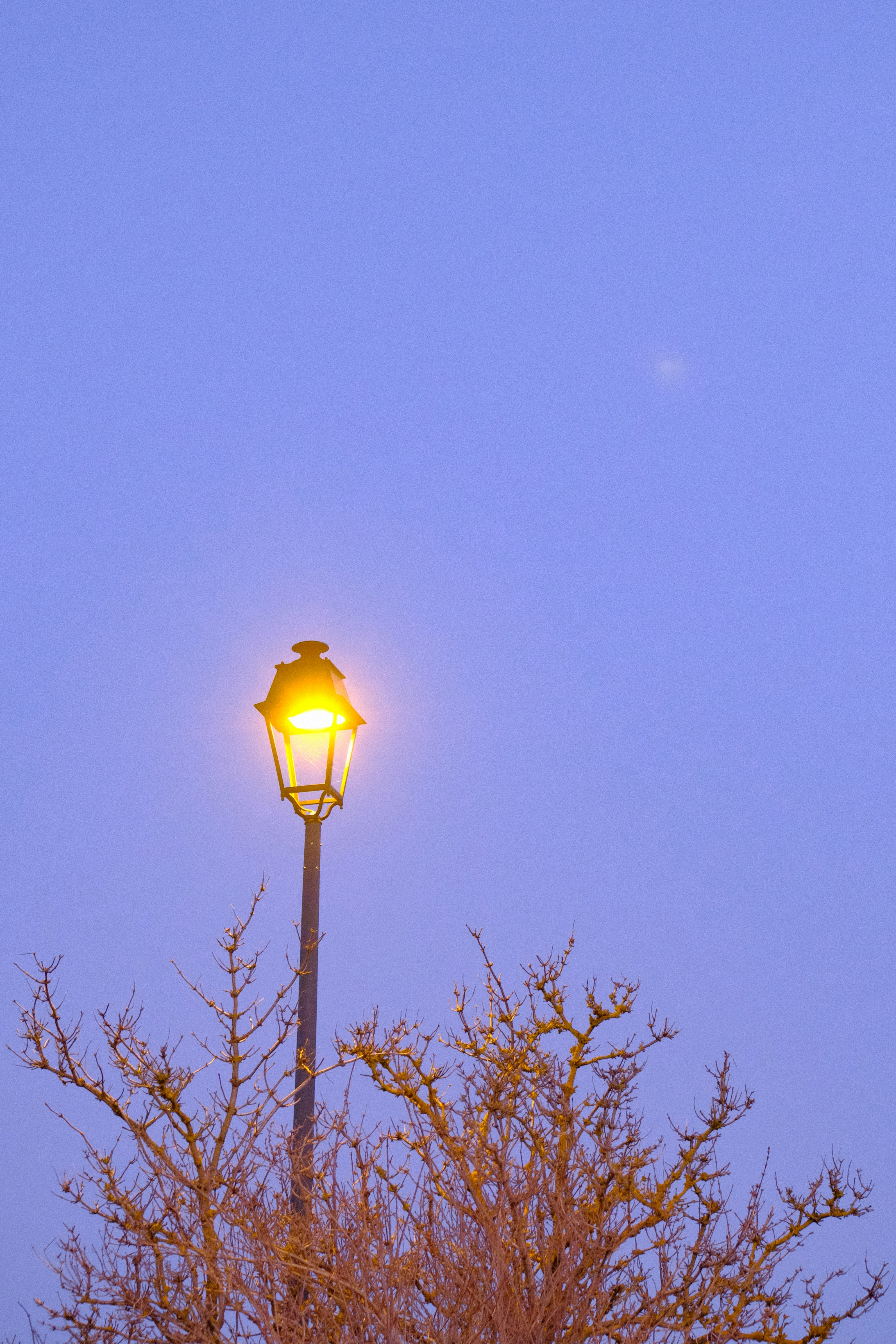 Photo by rosaliegdy