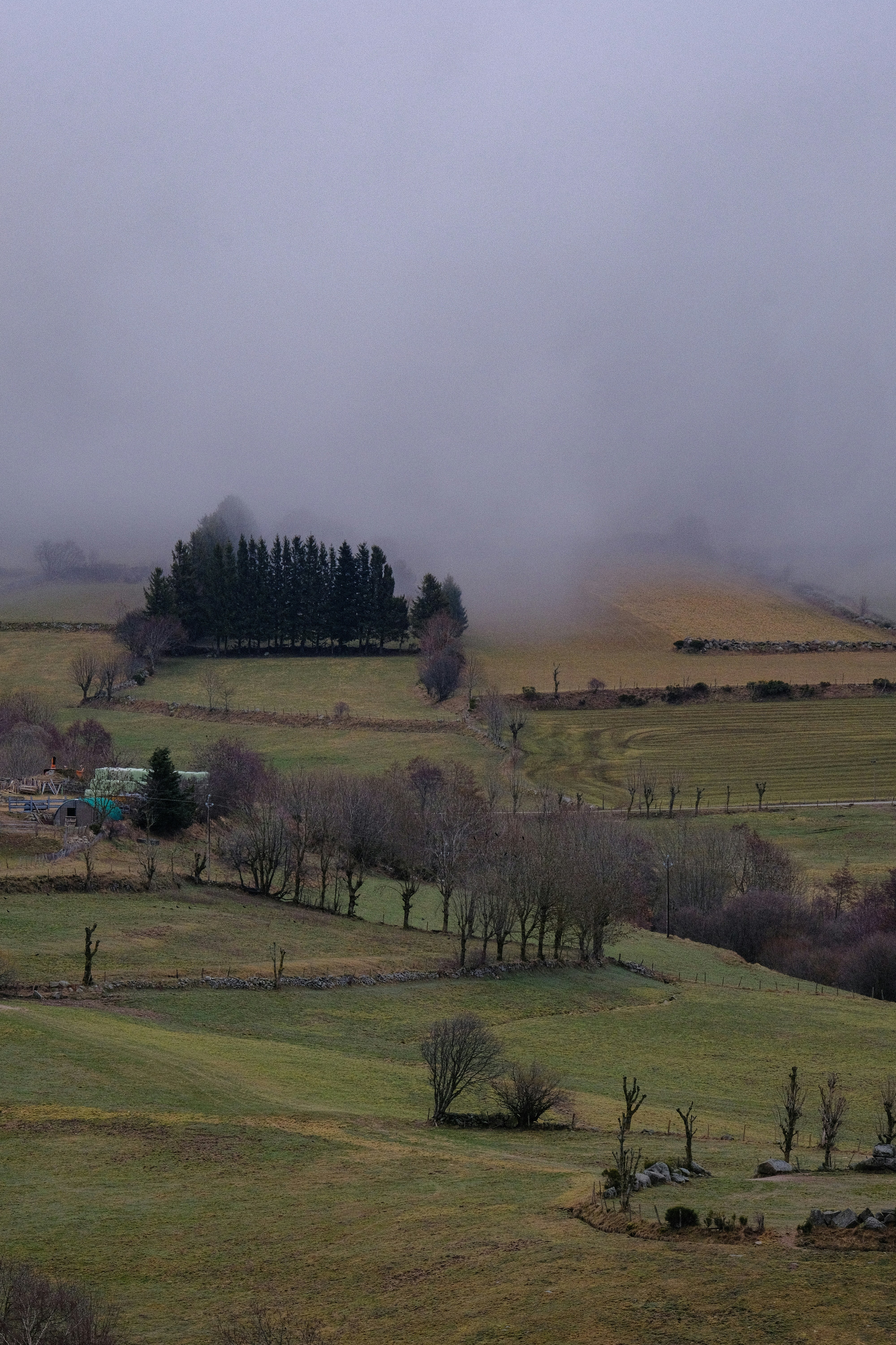 Photo by rosaliegdy