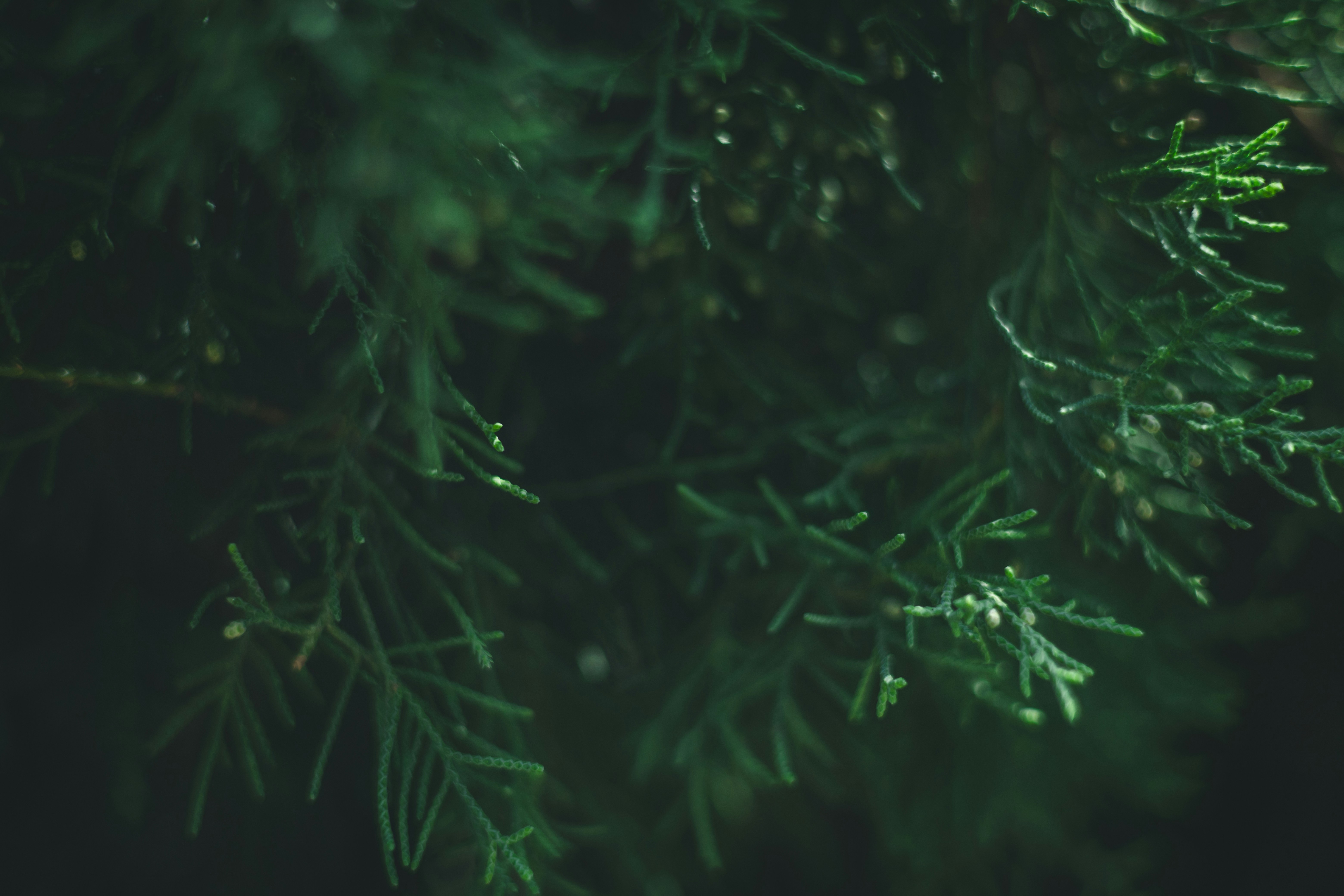 Photo by rrodriguesim