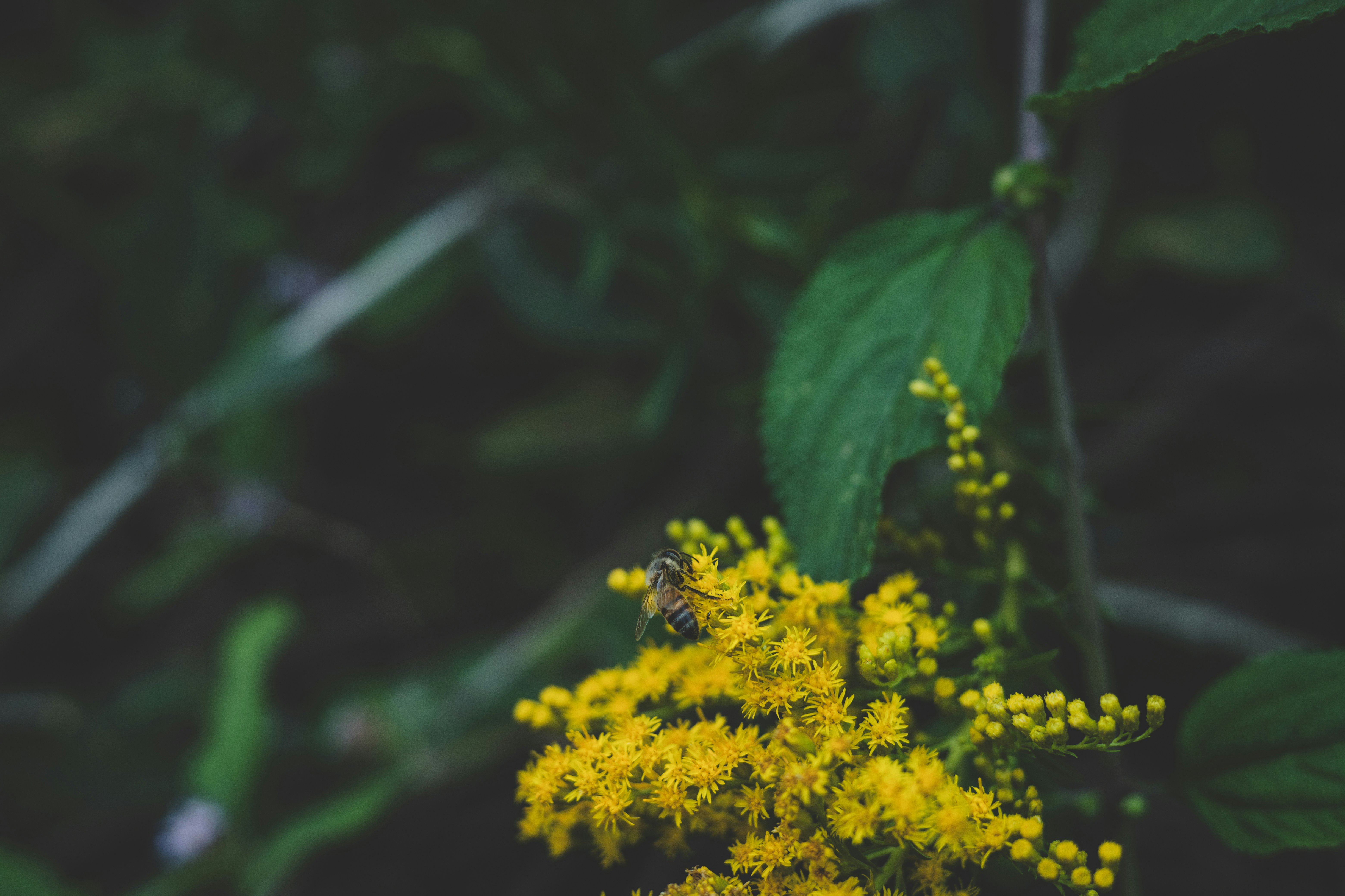 Photo by rrodriguesim