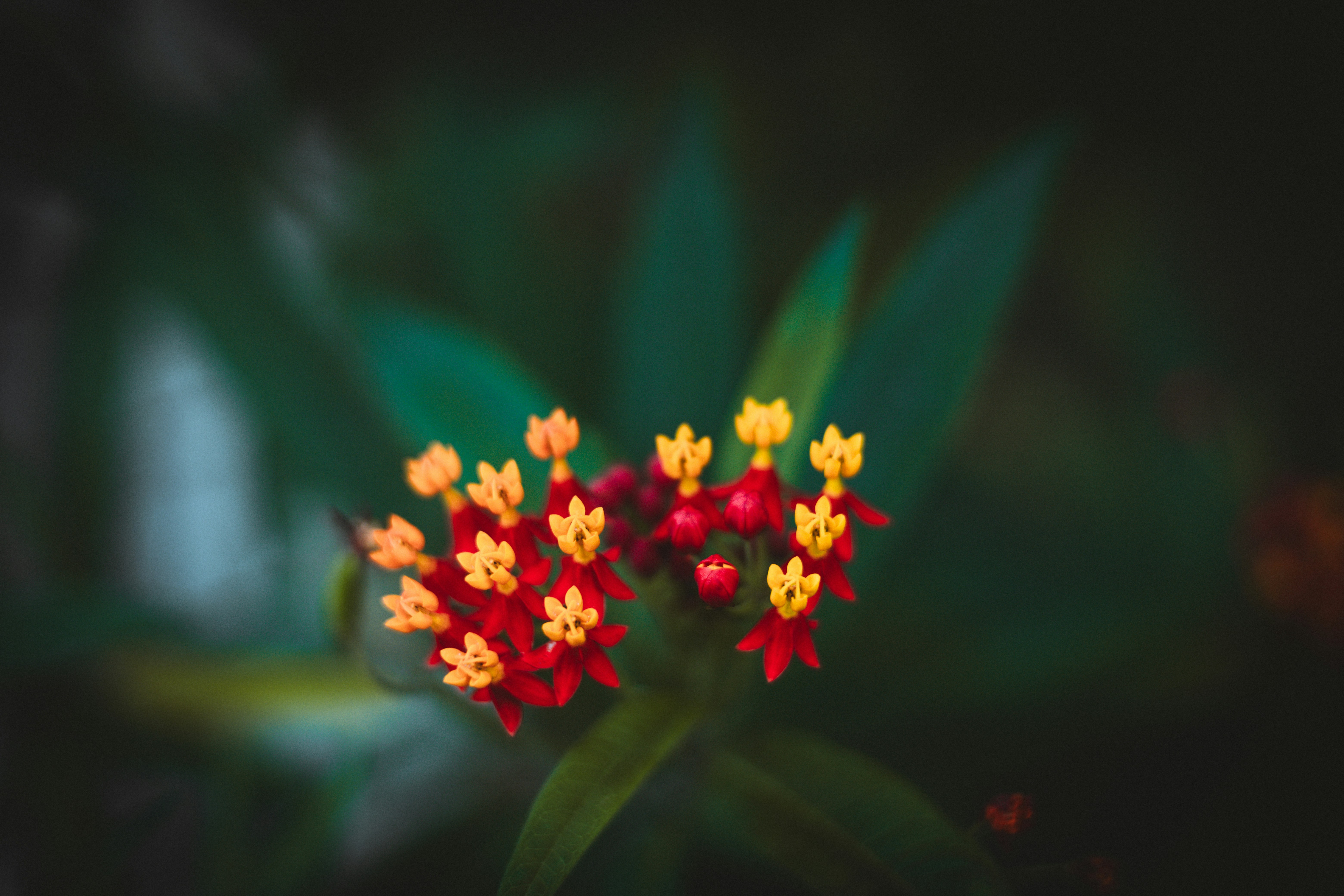 Photo by rrodriguesim