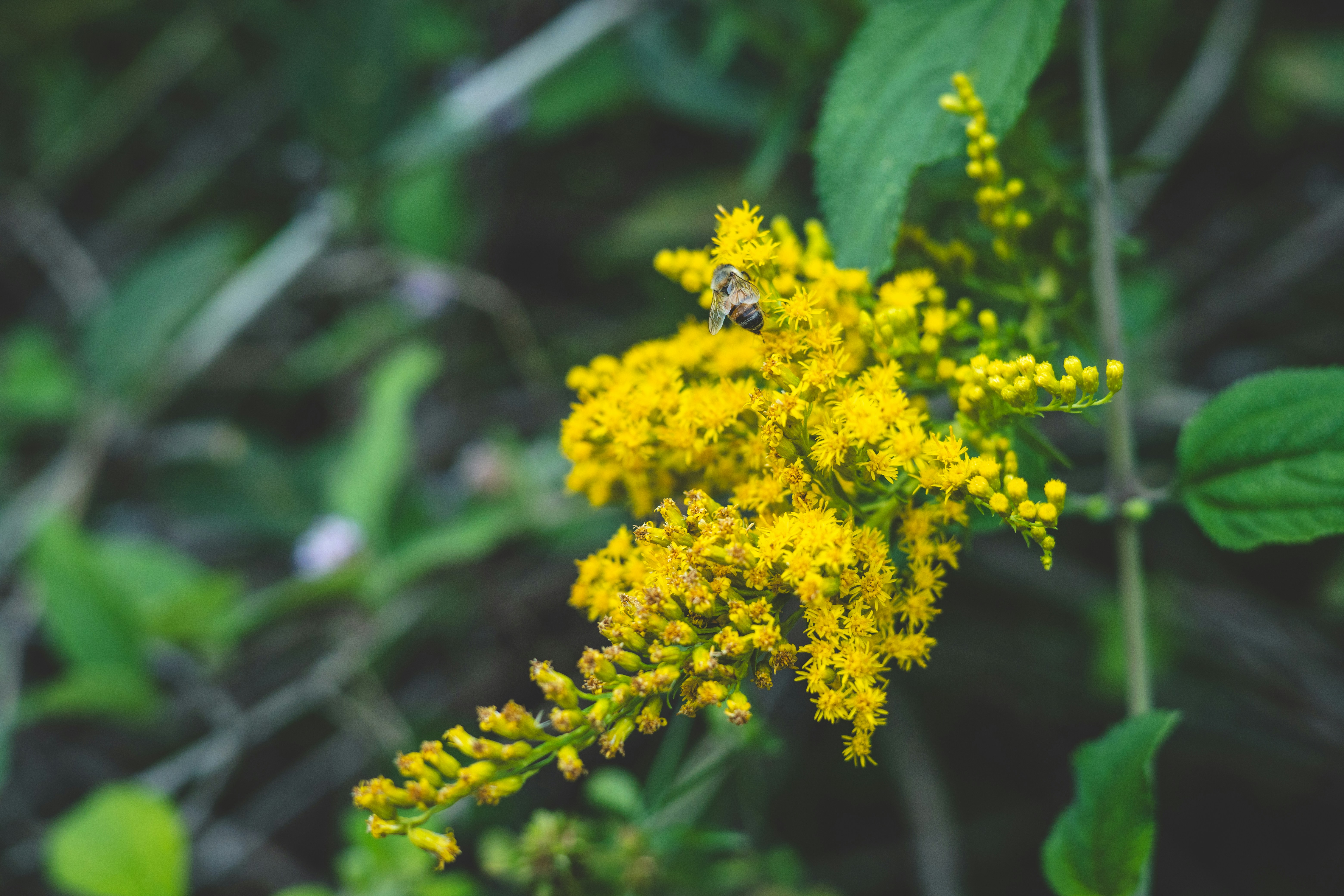 Photo by rrodriguesim