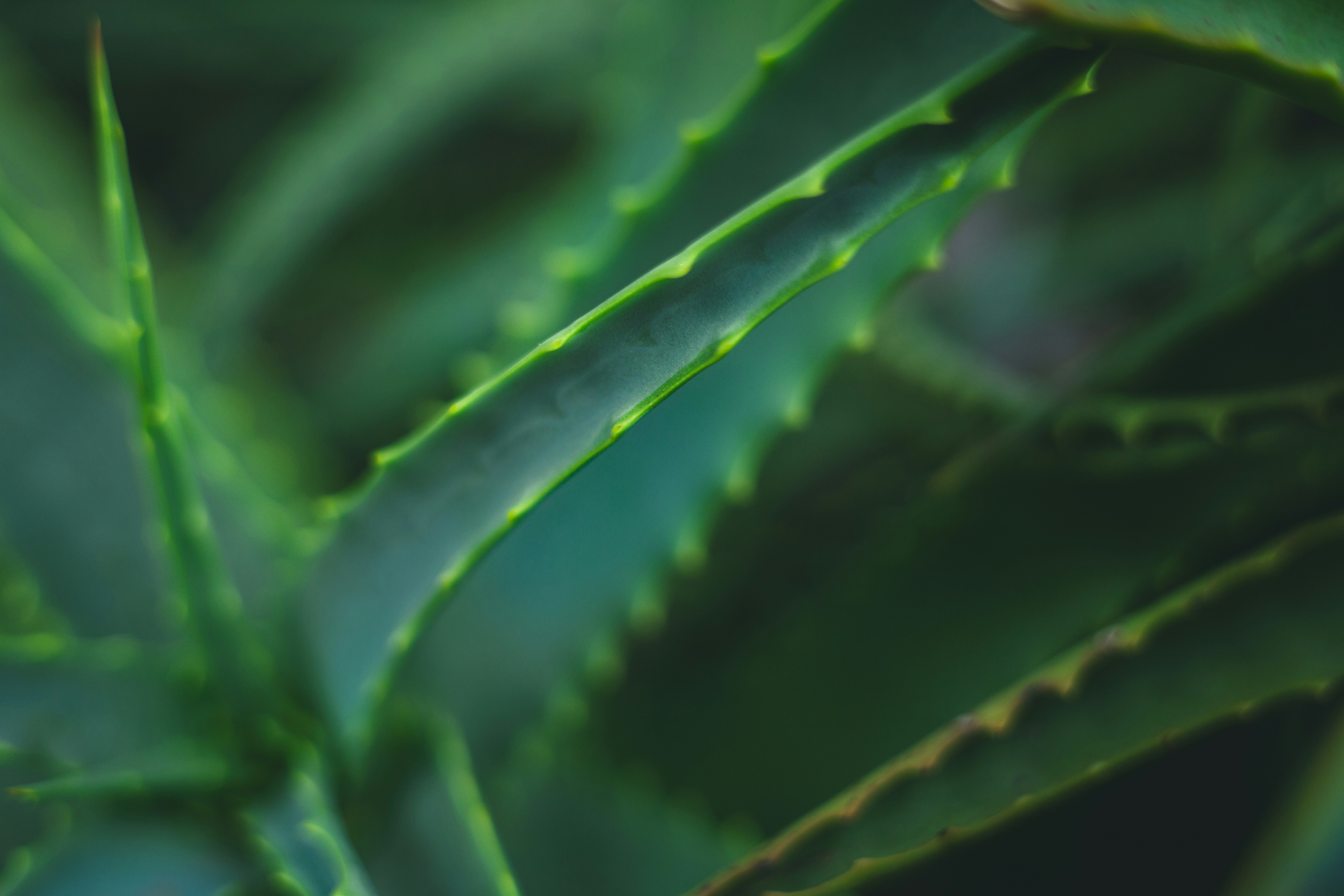 Photo by rrodriguesim