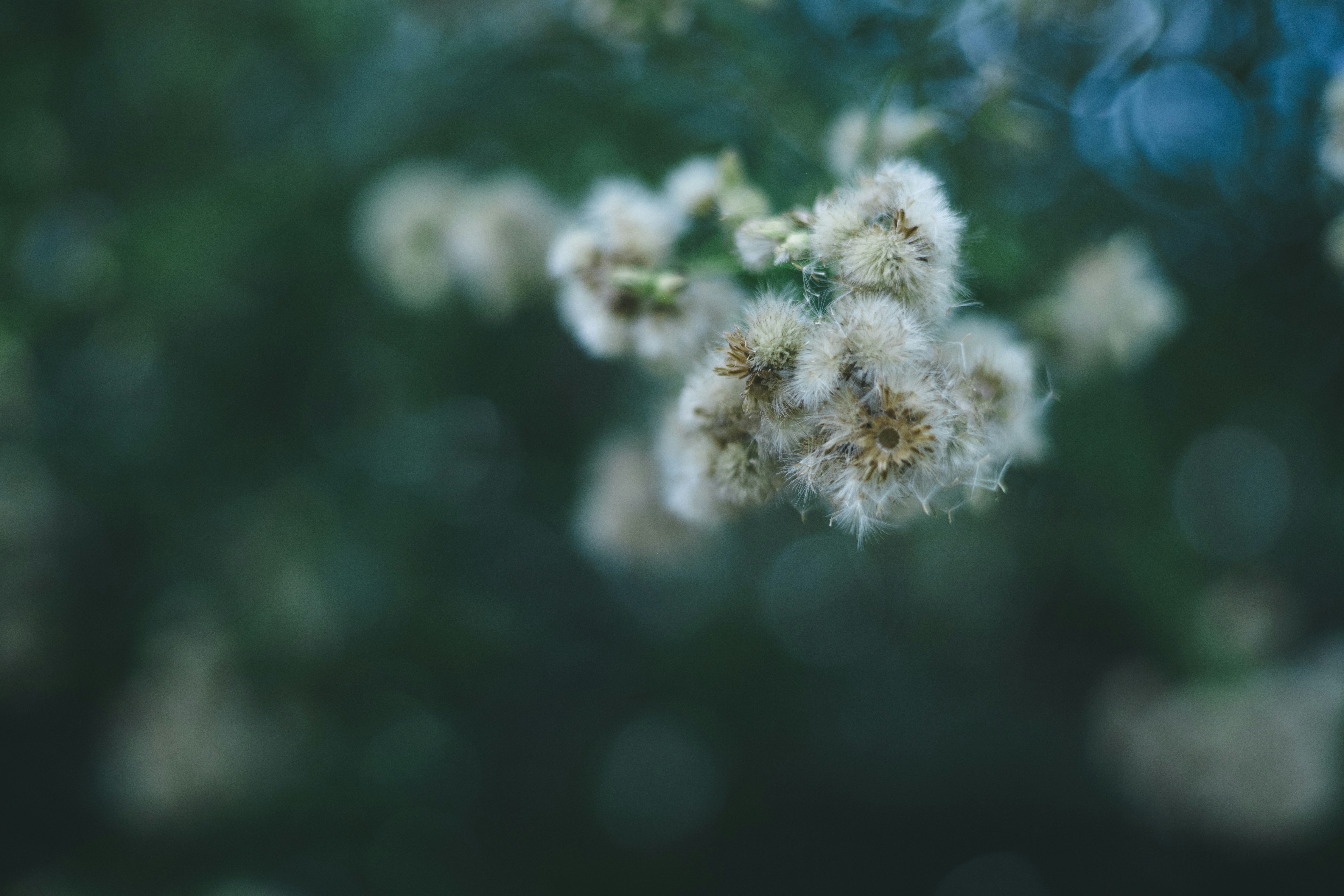 Photo by rrodriguesim