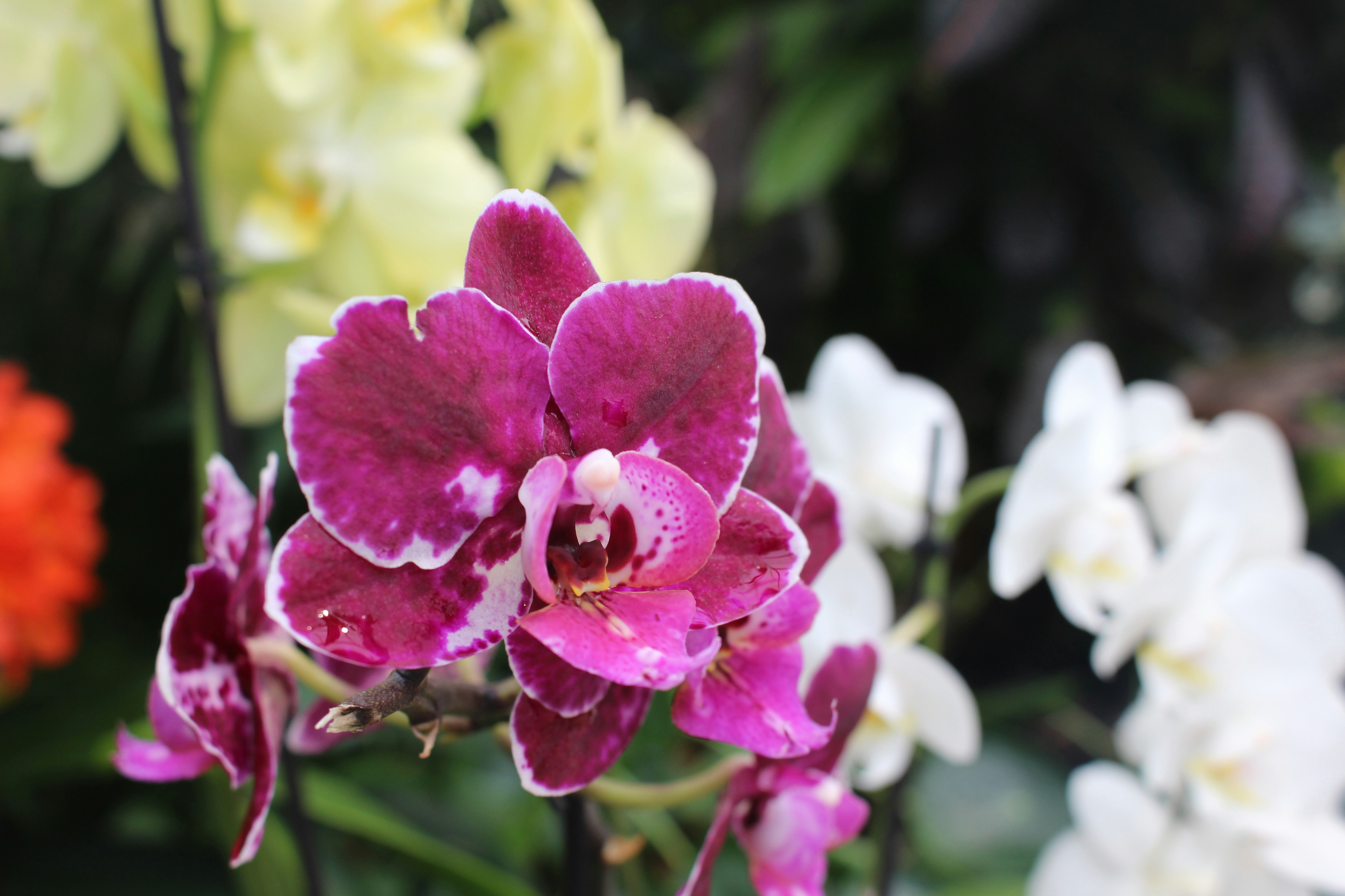 Photo by becca_winter_photography