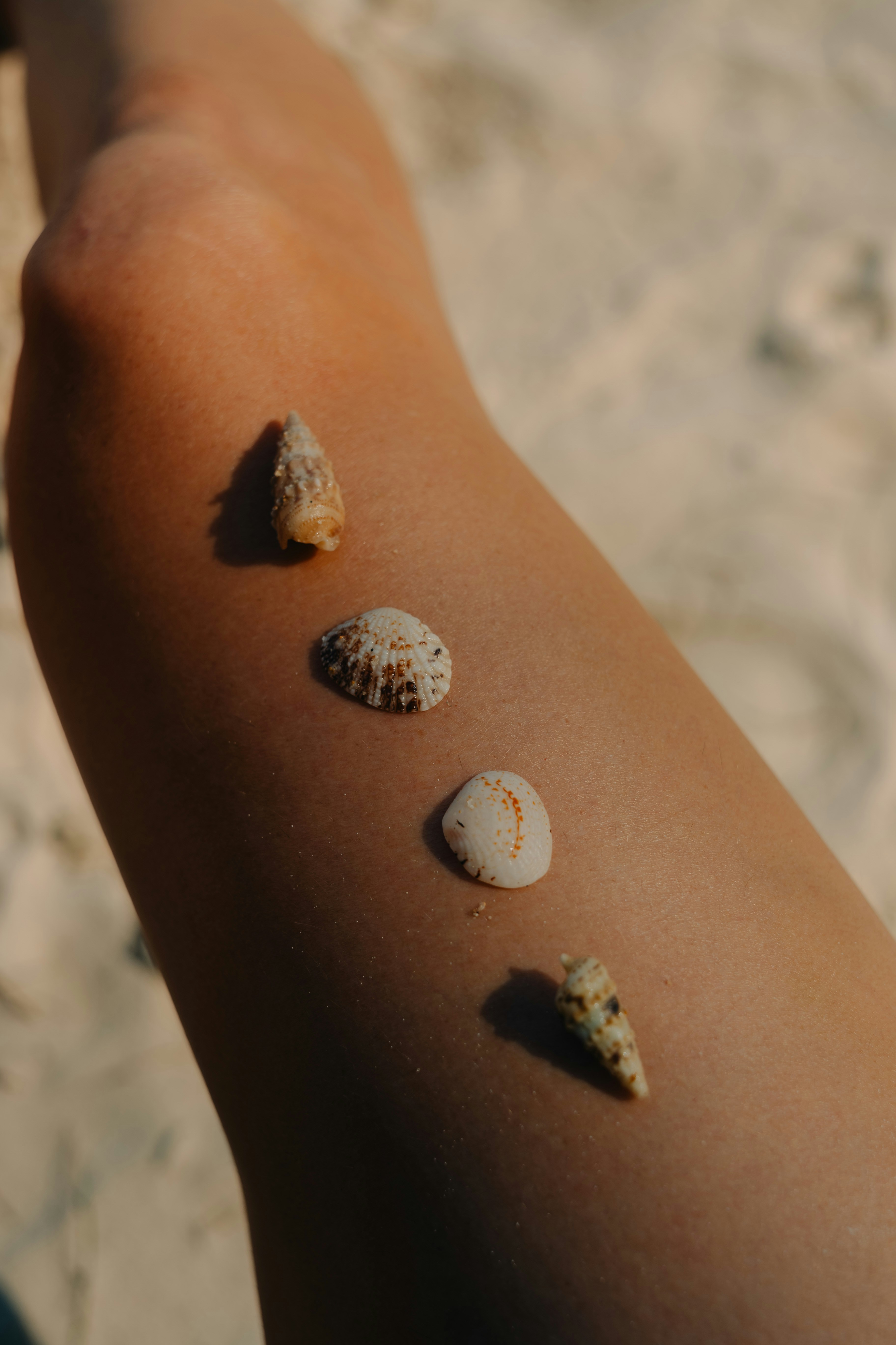 Four seashells arranged on a person's leg