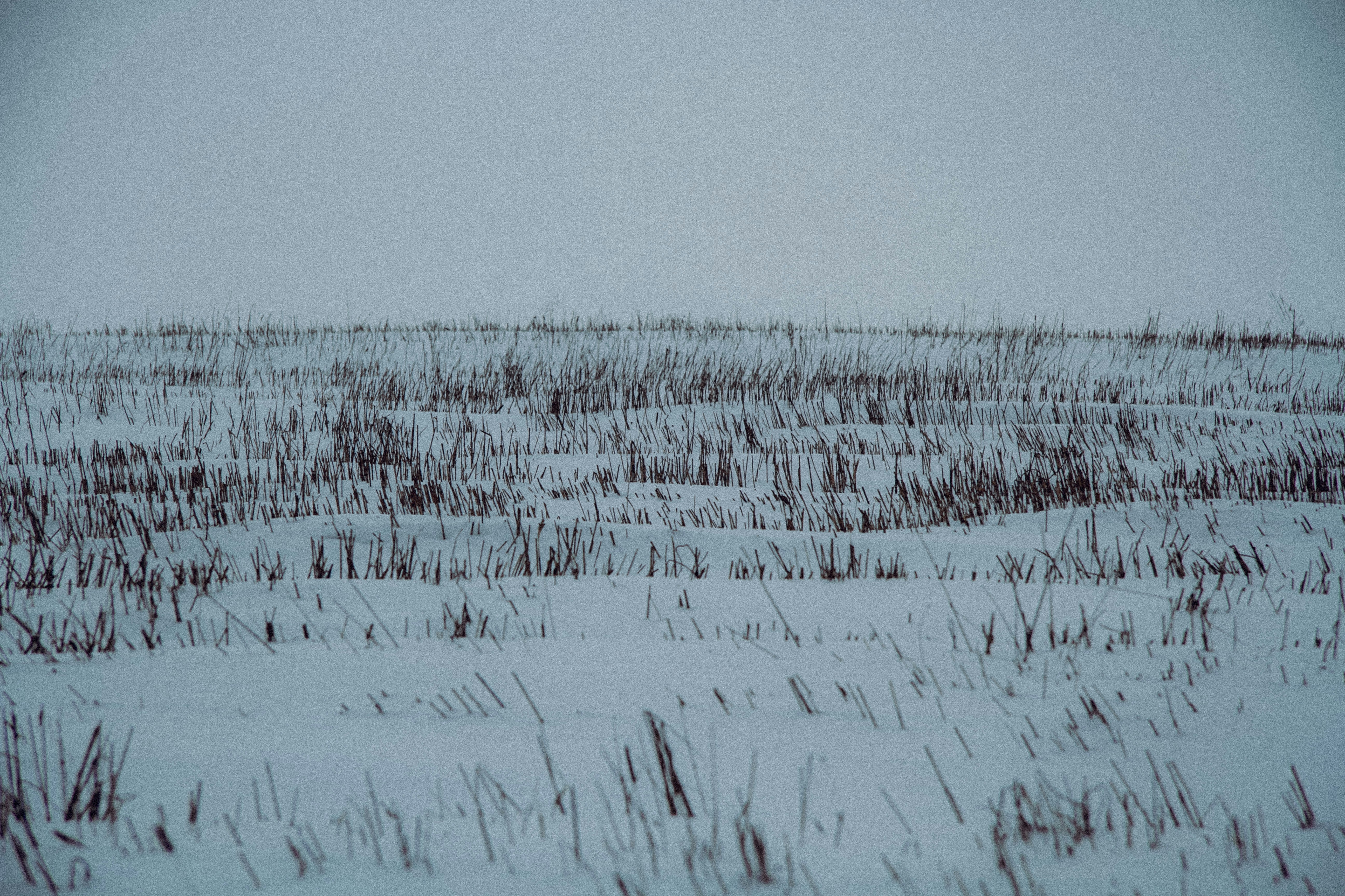 Photo by emilsmikelsons