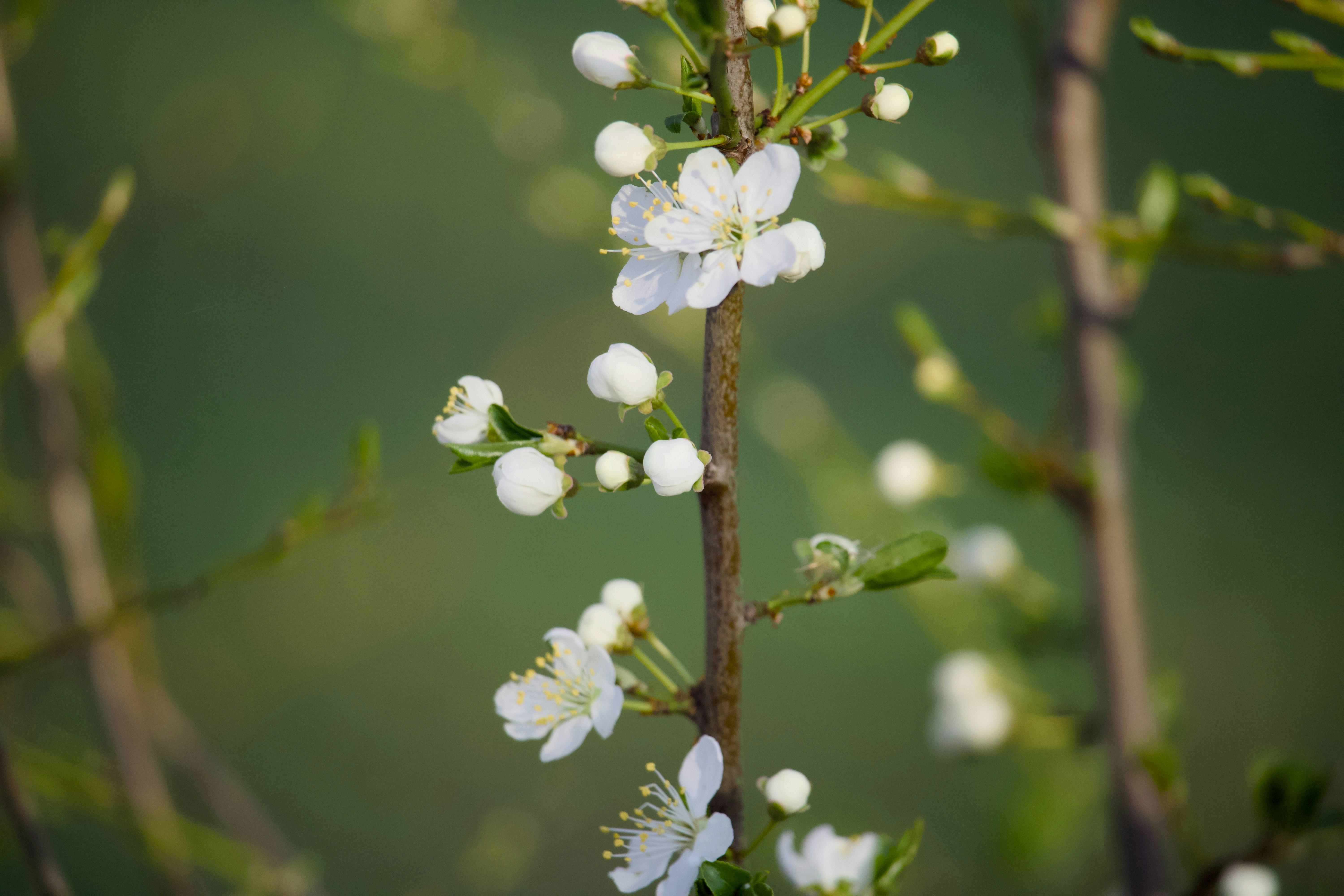 Photo by sveneisenschmidt