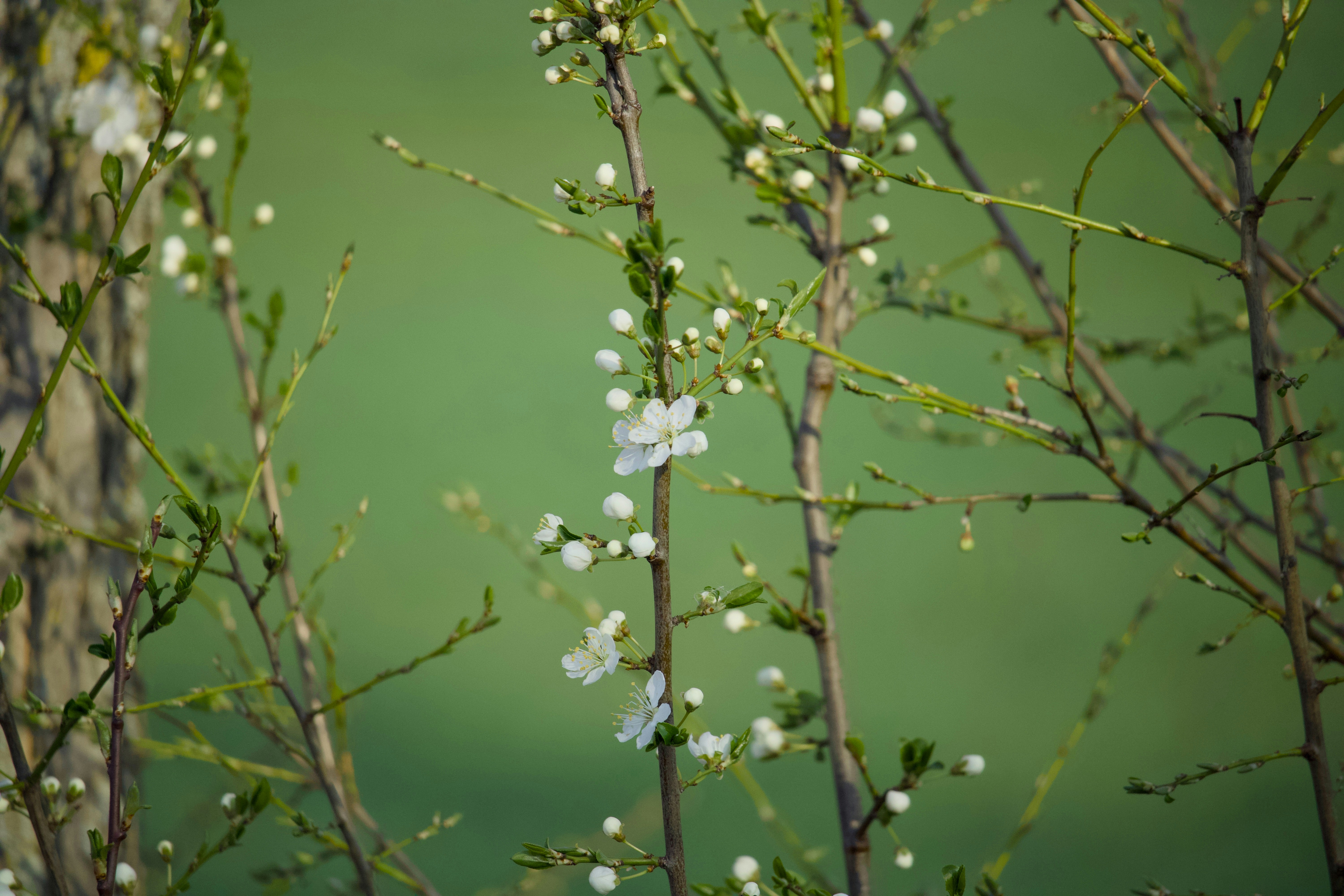 Photo by sveneisenschmidt