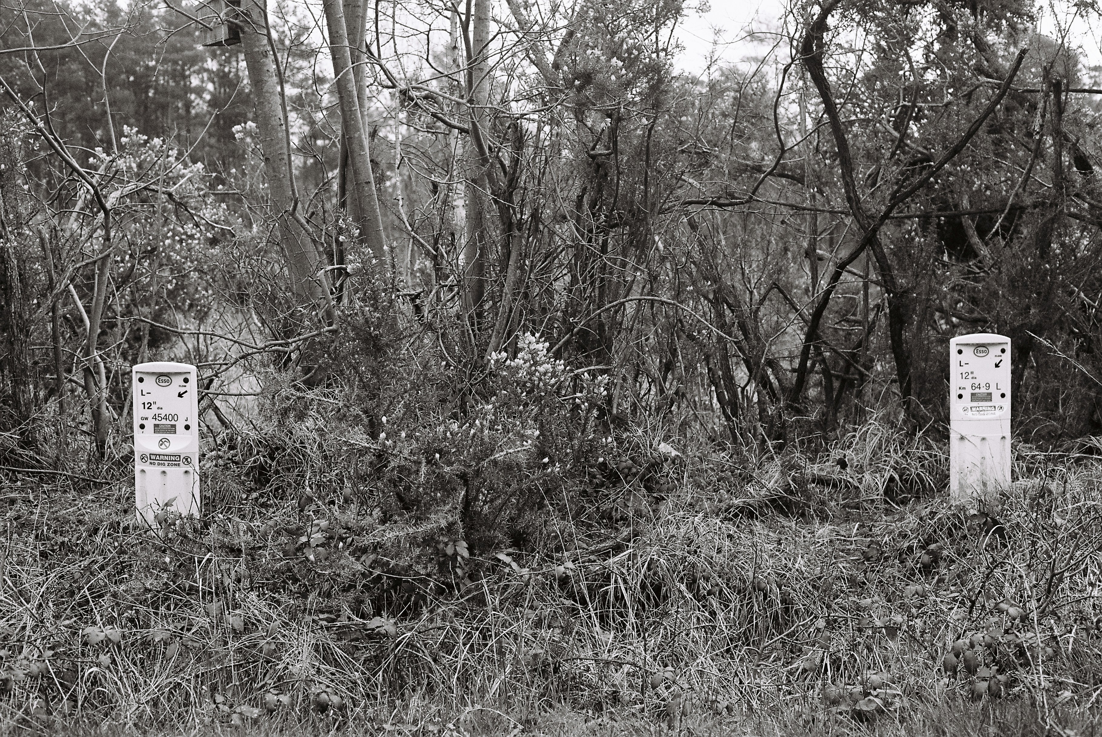 The $33 Million Insider Bet — Energy Transfer (ET)