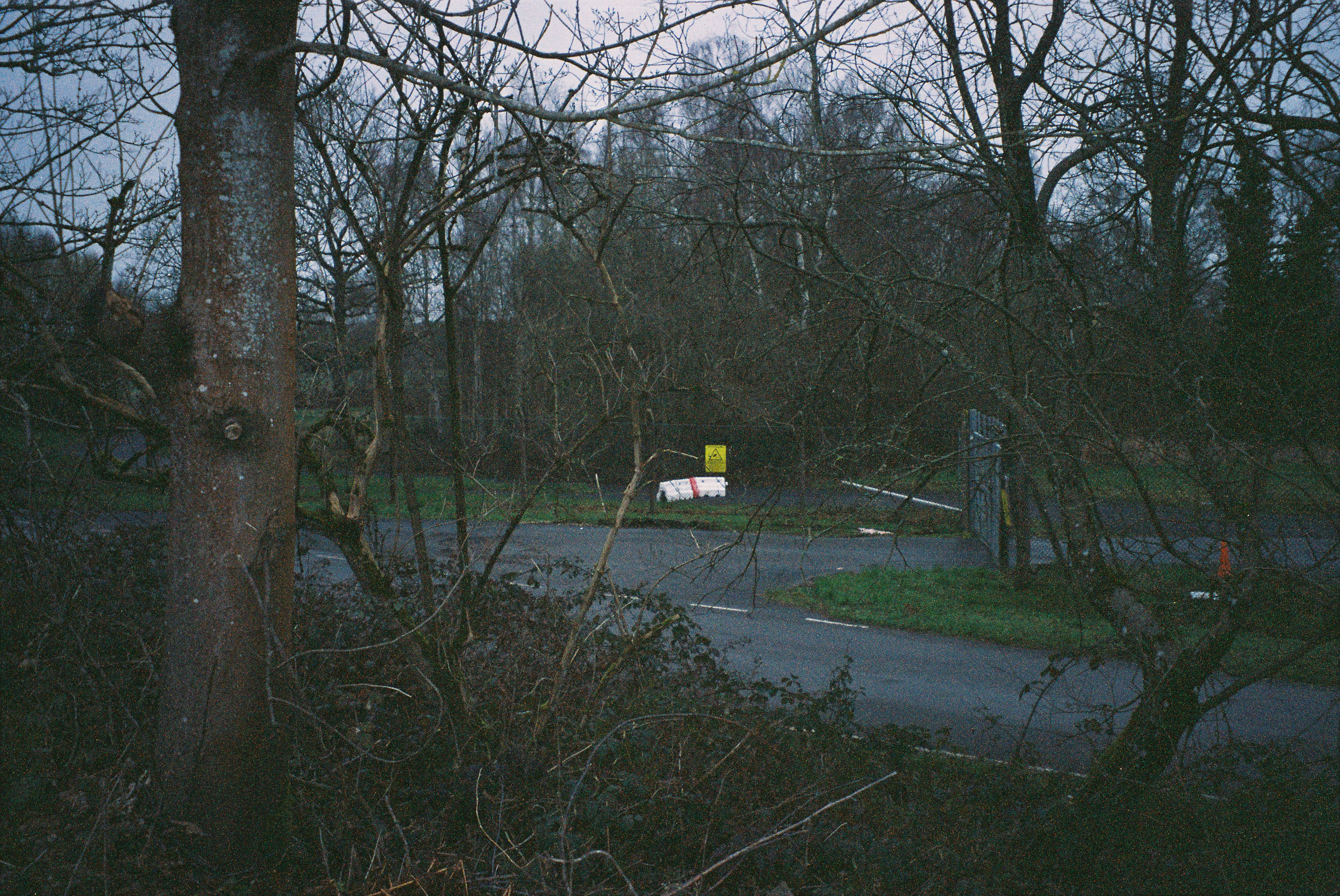 Photo by tanyabarrow