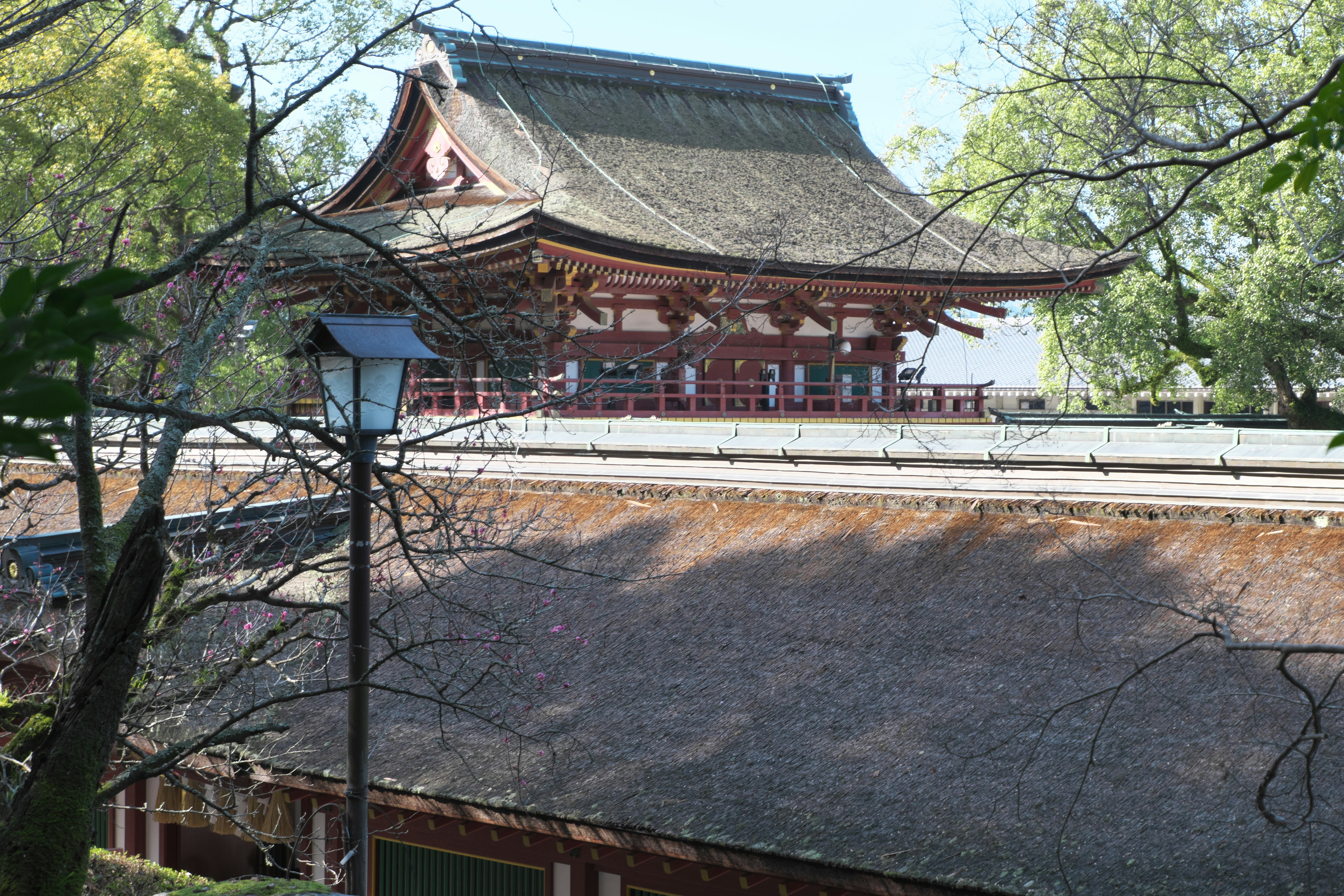 Photo by logichom