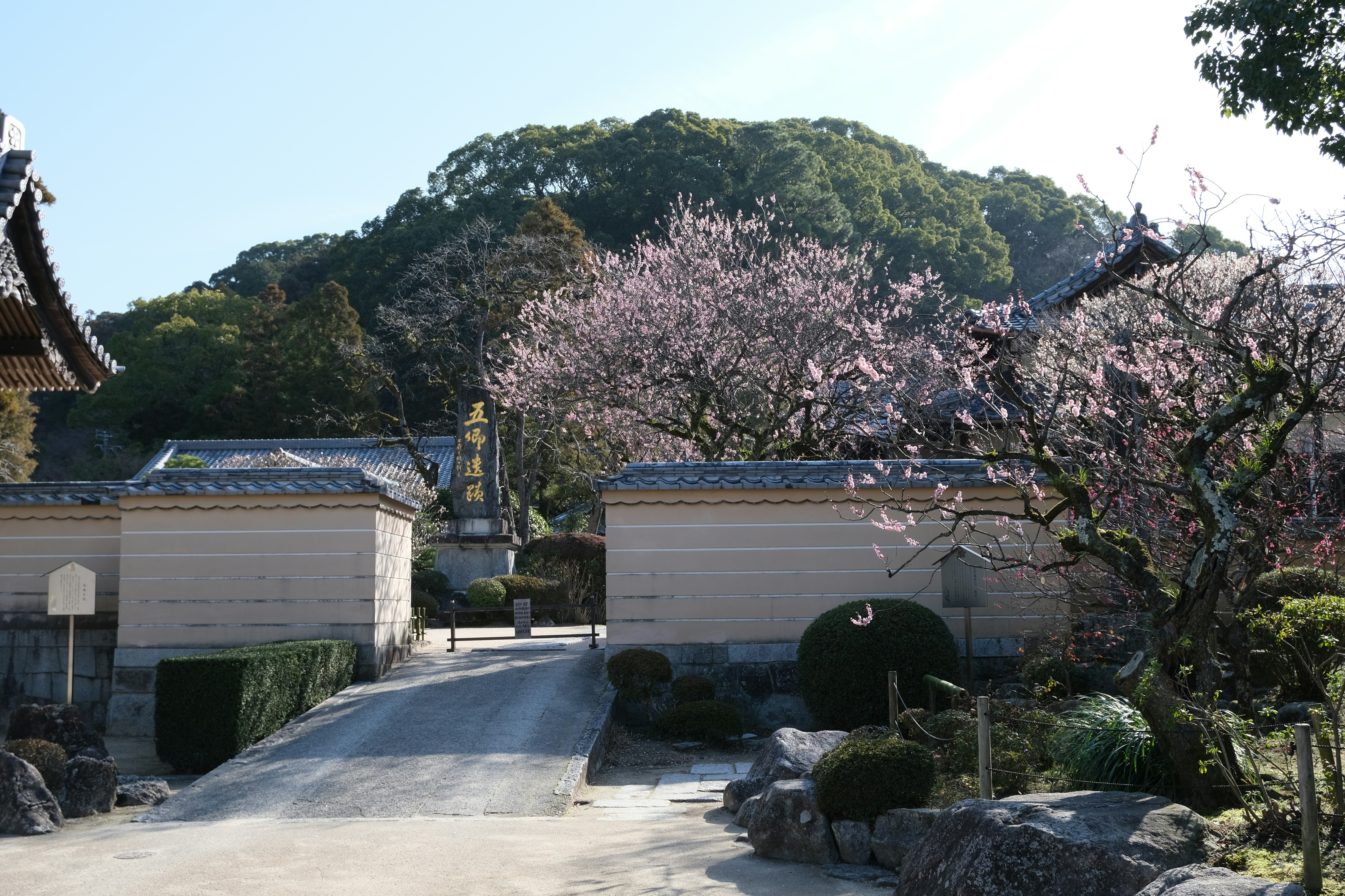 Photo by logichom