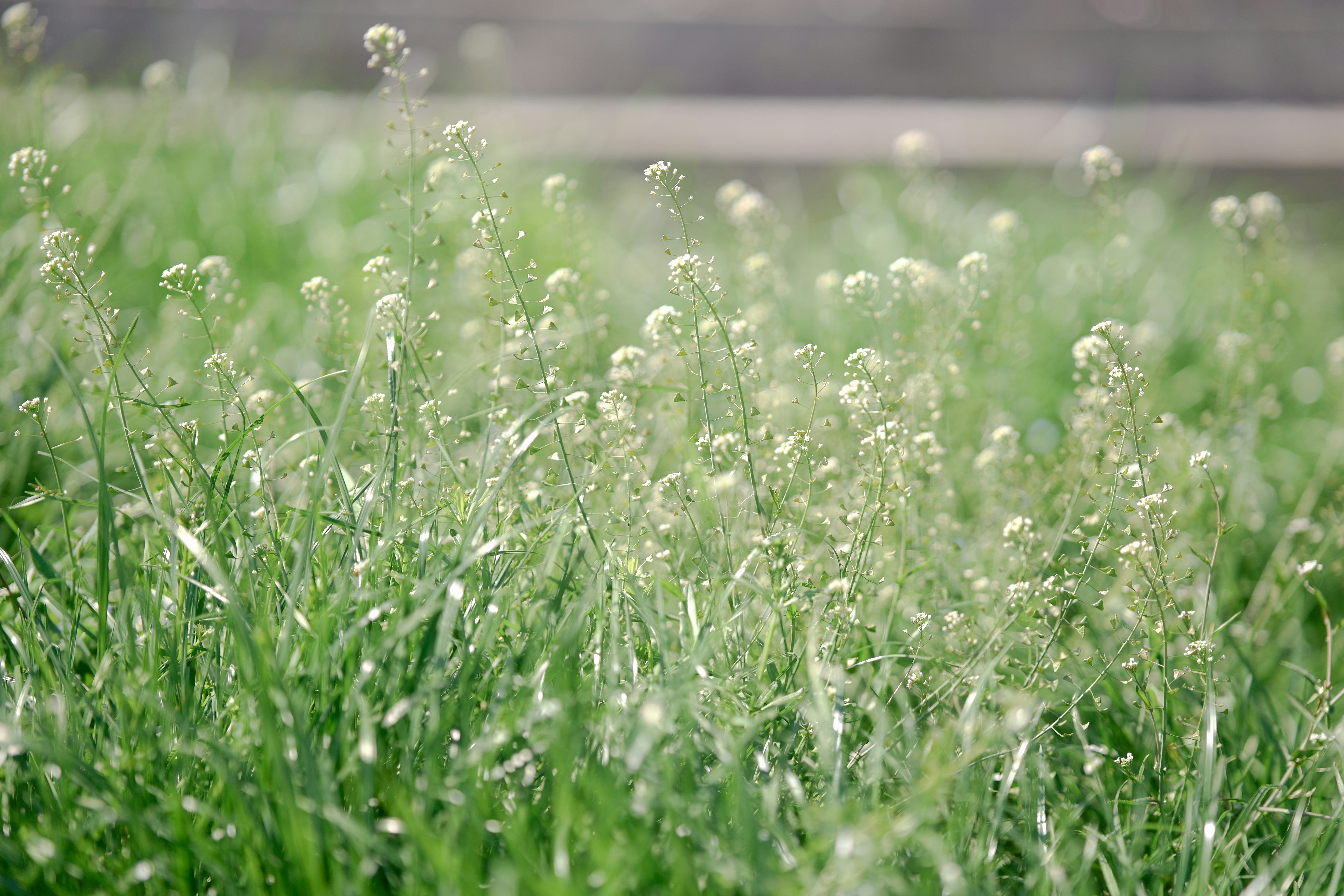 Photo by aasing_gwok