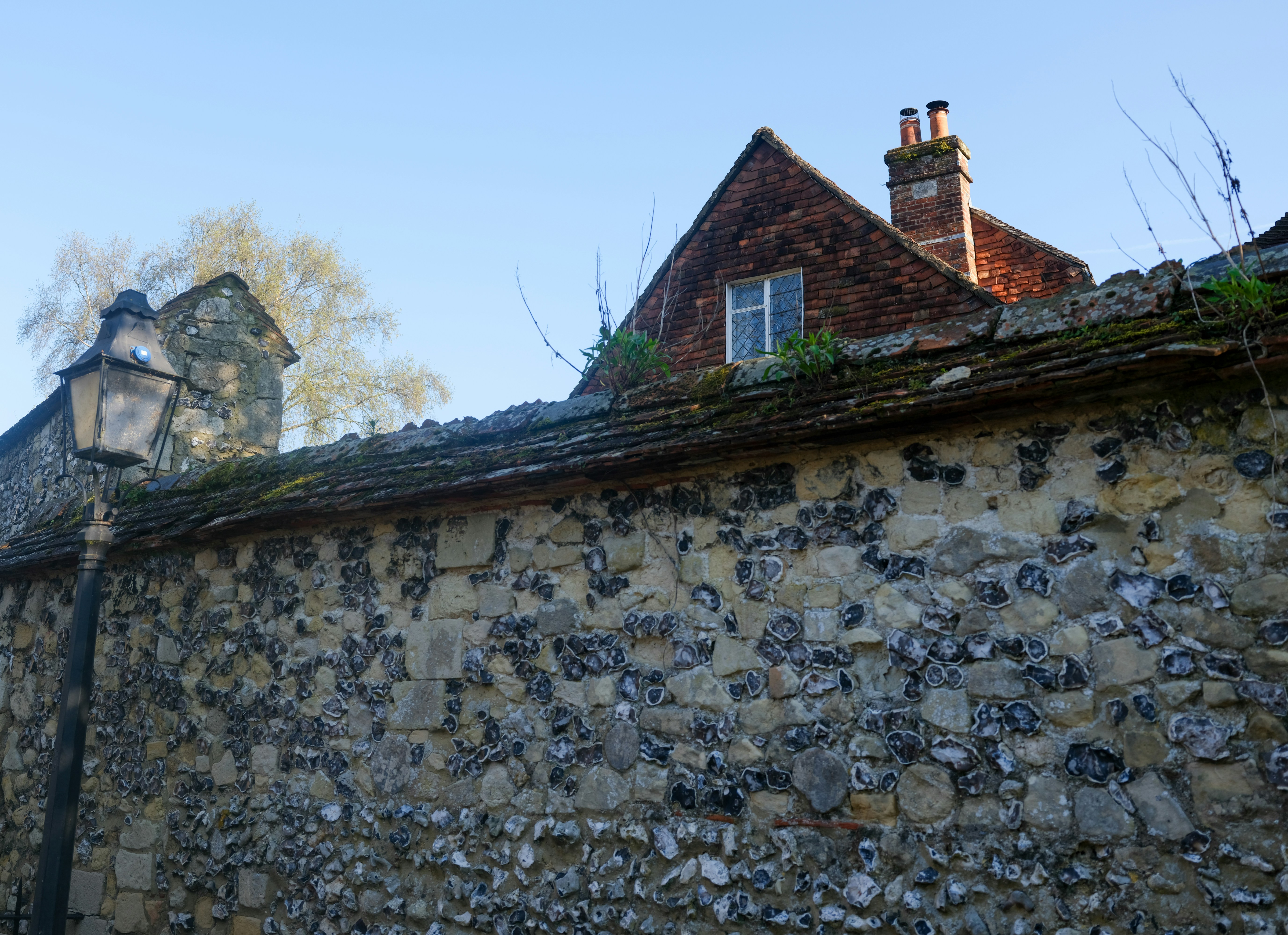 Photo by tanyabarrow