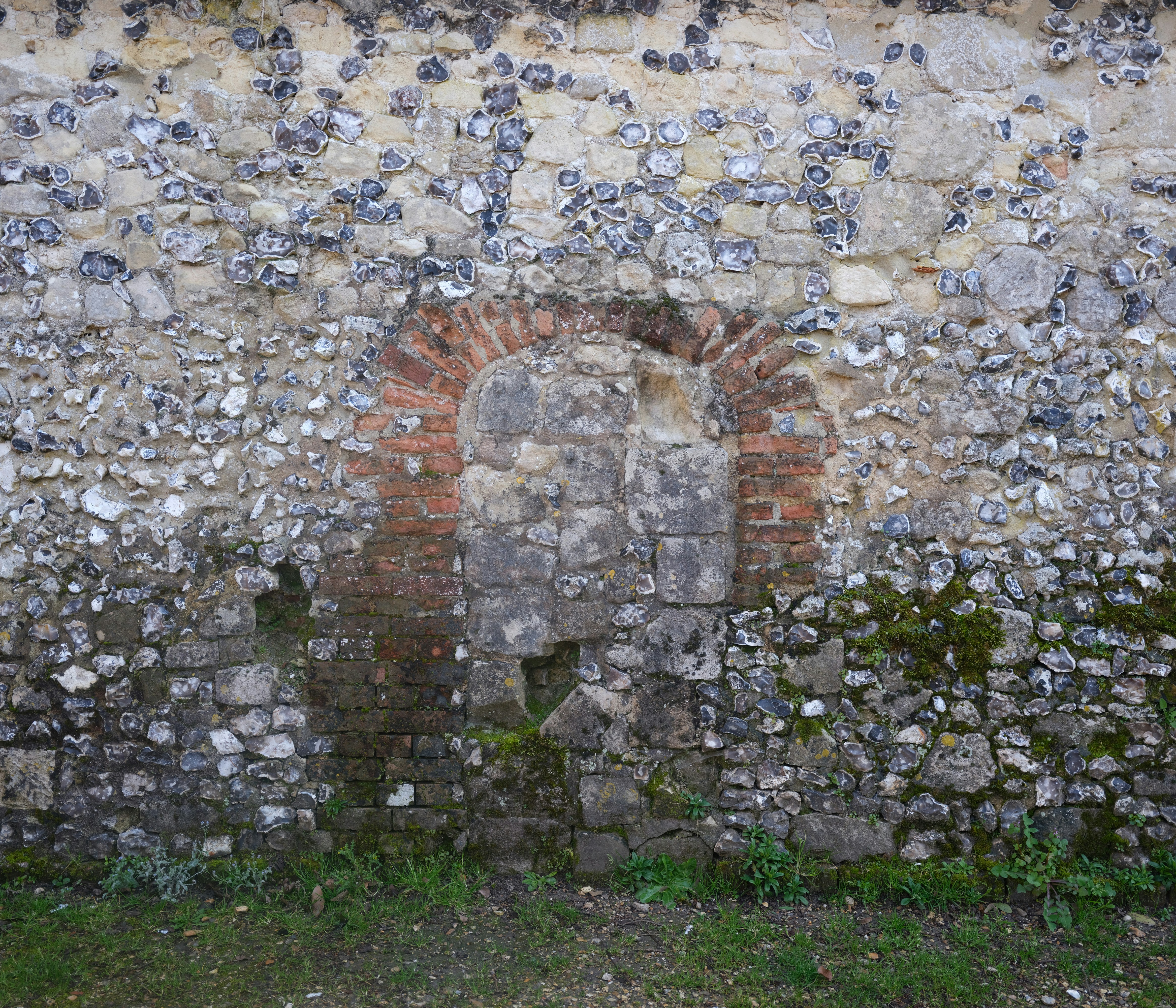 Photo by tanyabarrow