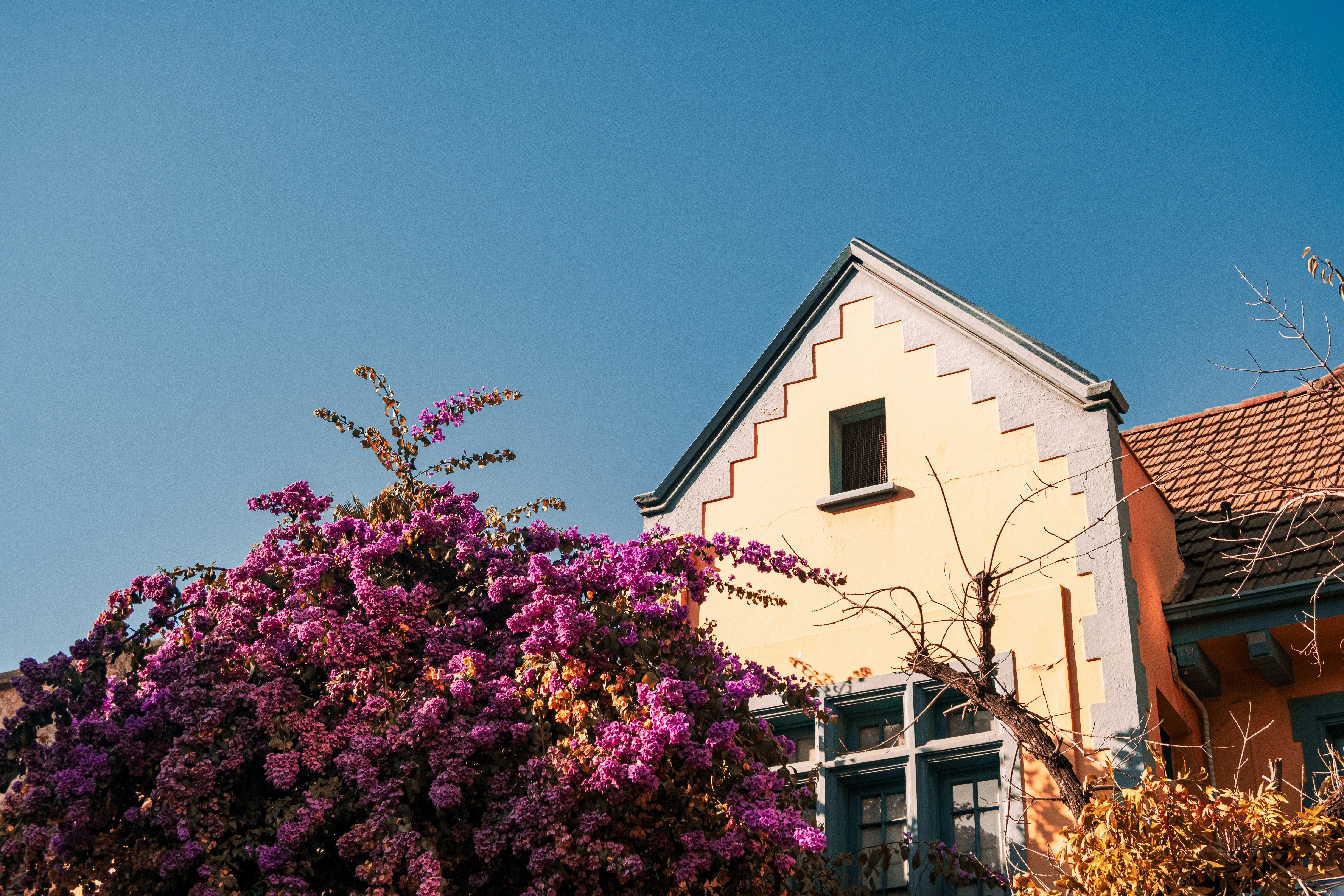 Yellow house with purple flowers against blue sky