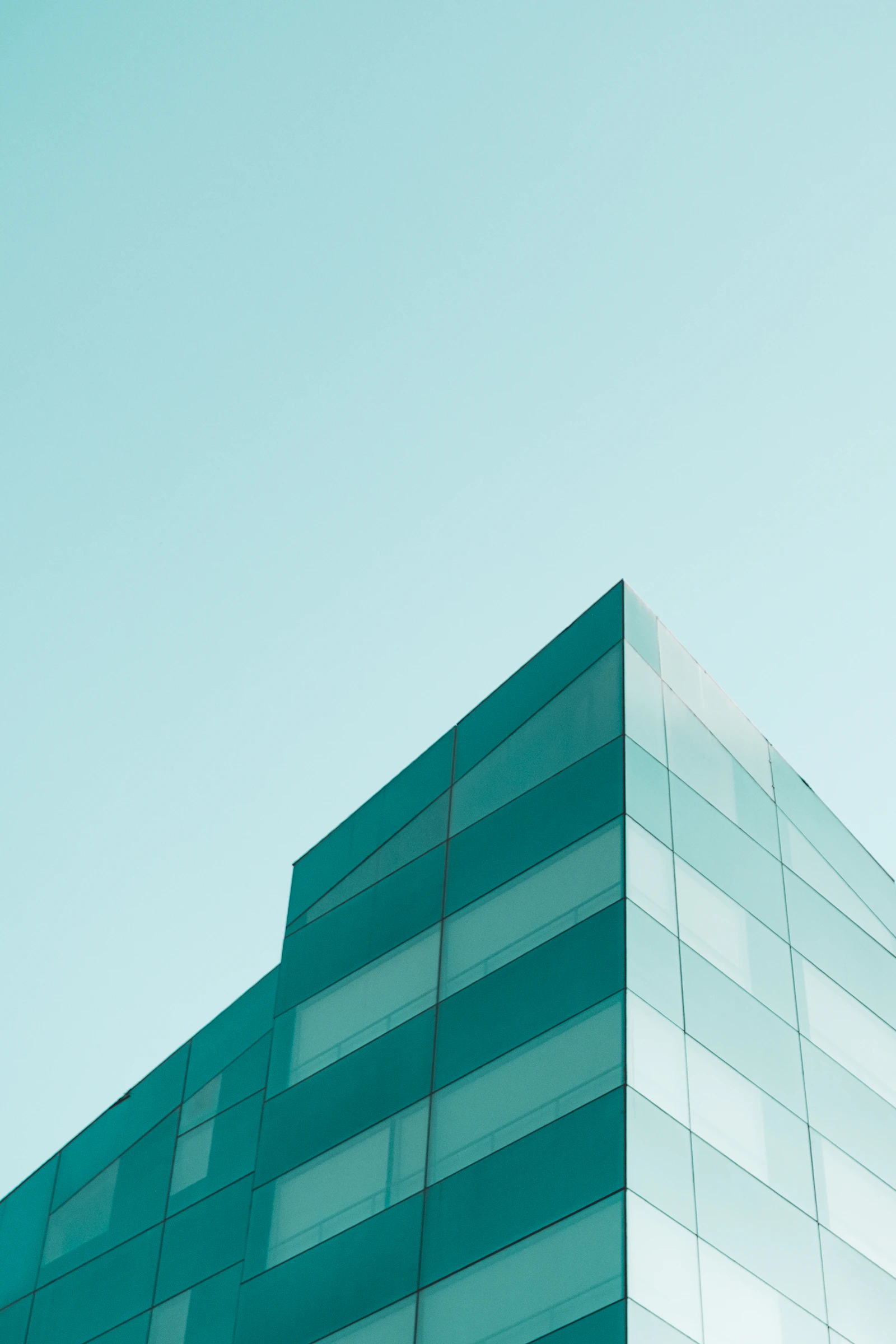 COMMON GROUND 디자인 참고 사진
