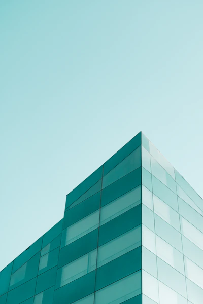 Unsplash 사진 22