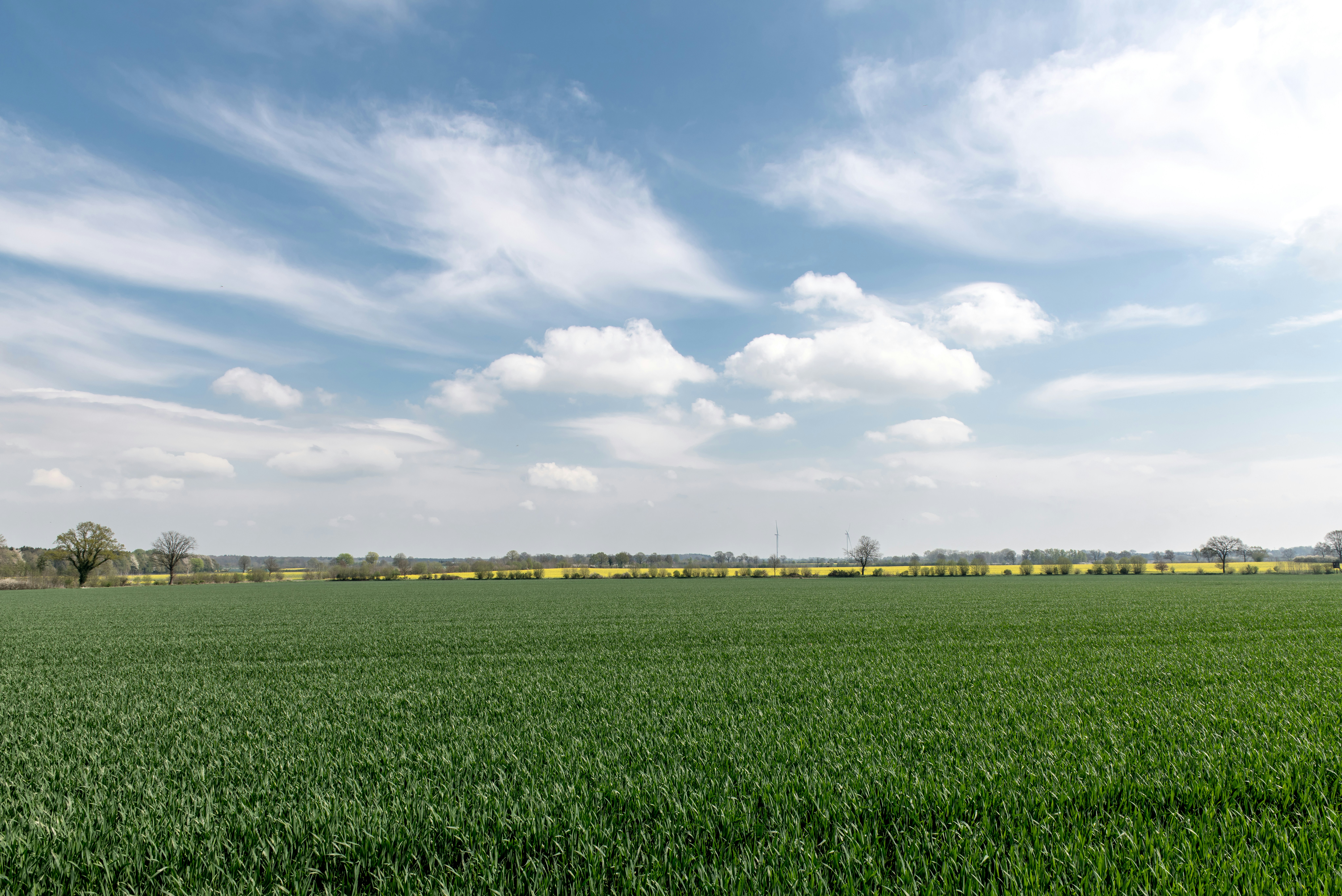 Photo by hamburgmeinefreundin