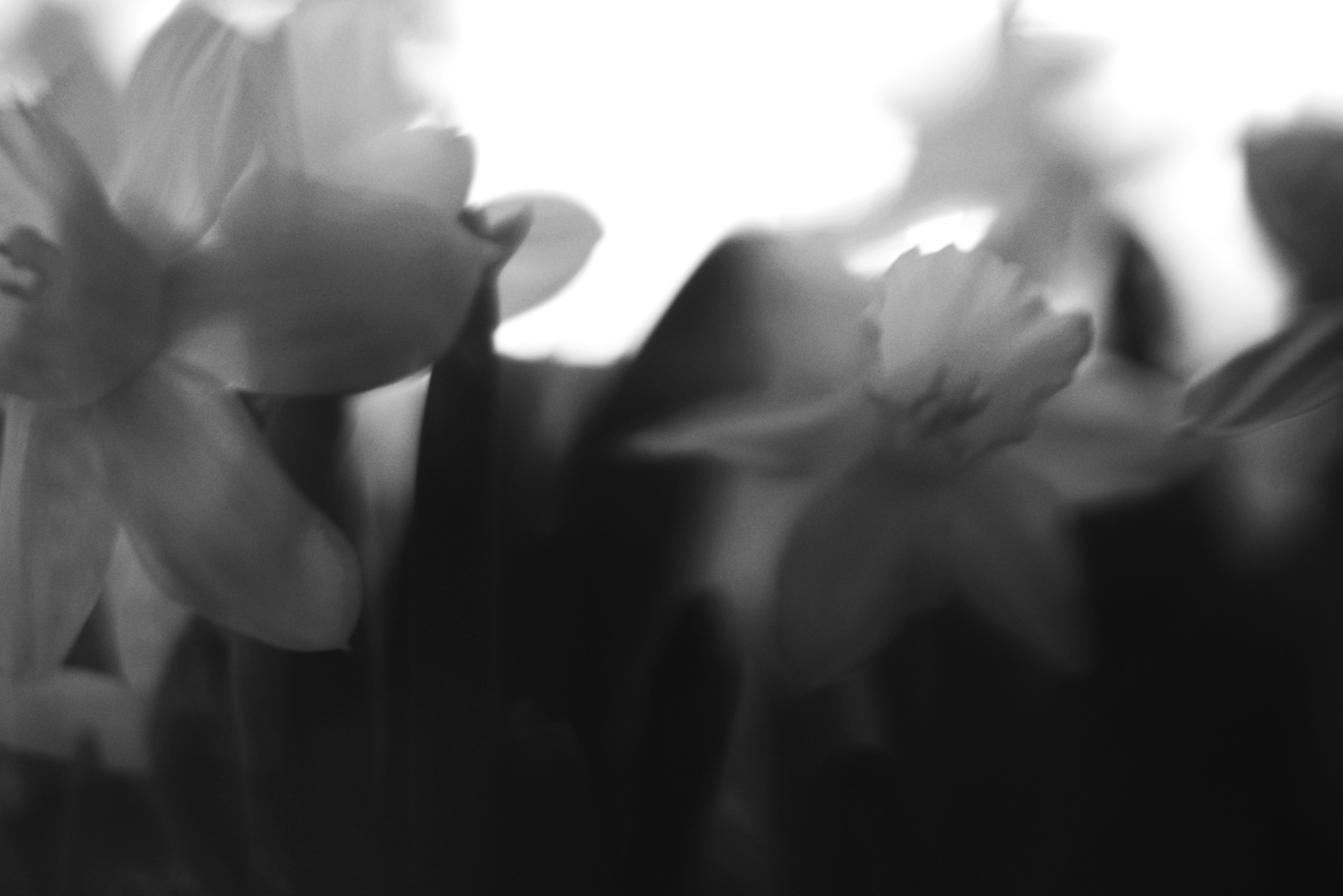 Photo by cherstve_pechivo