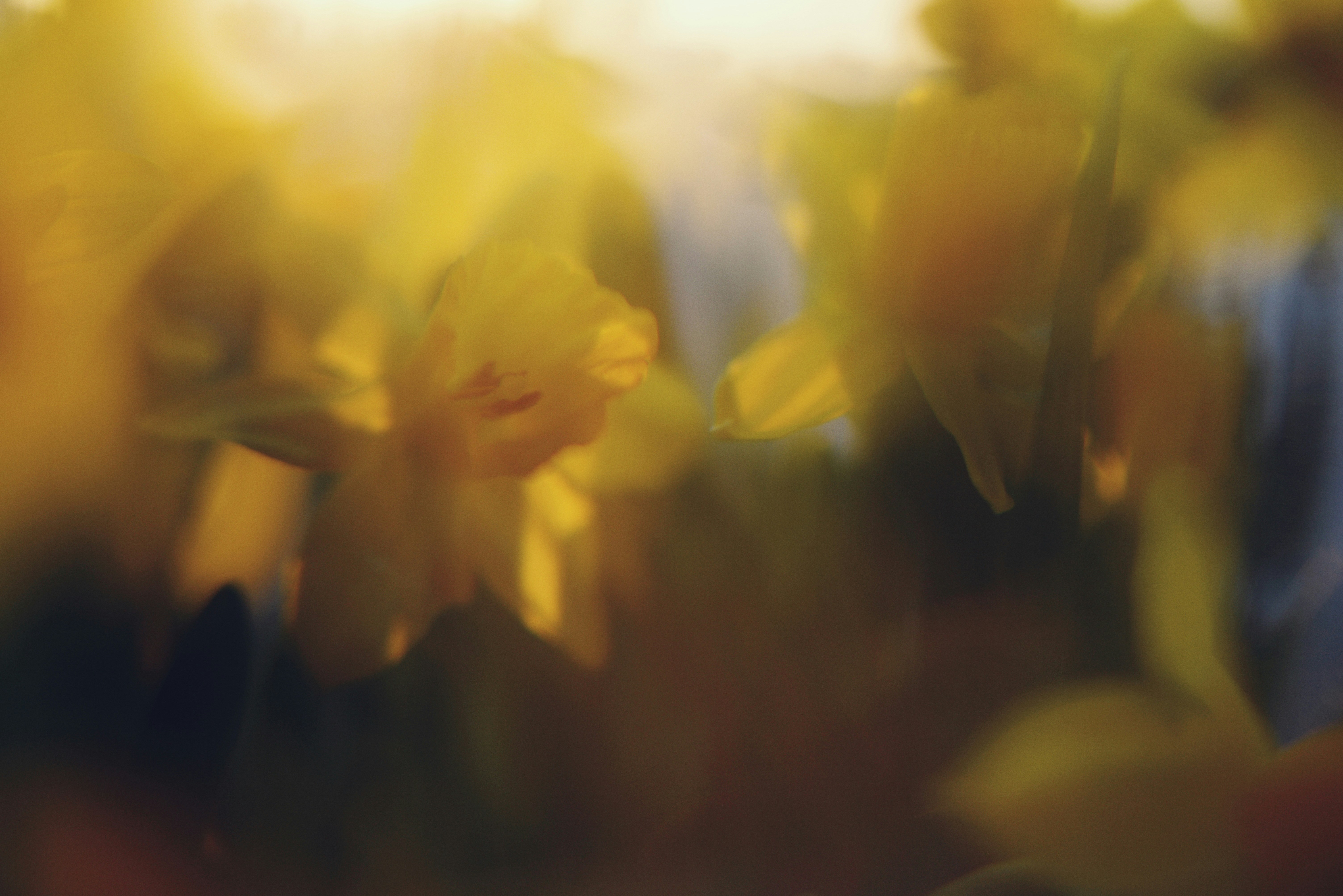 Photo by cherstve_pechivo