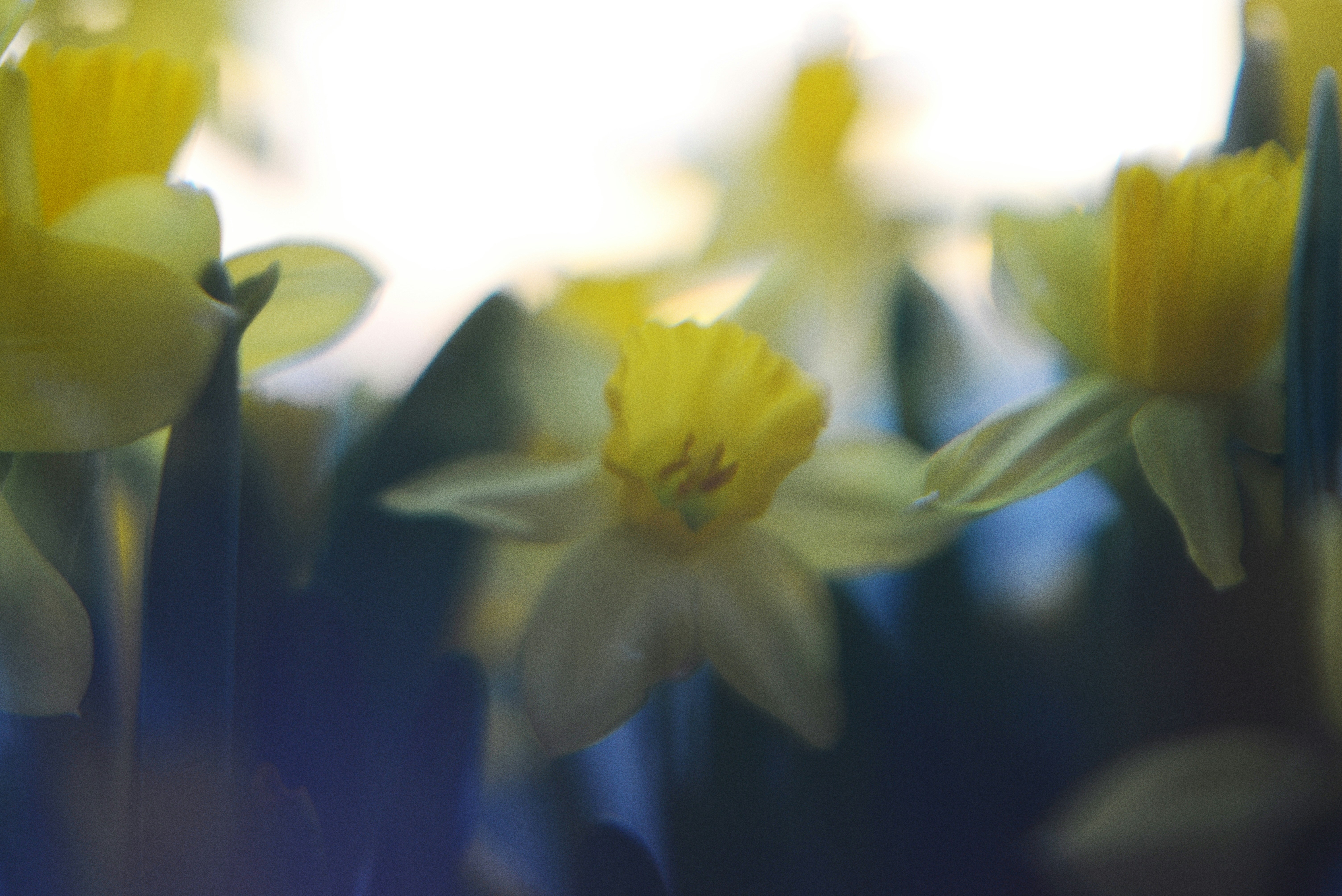 Photo by cherstve_pechivo