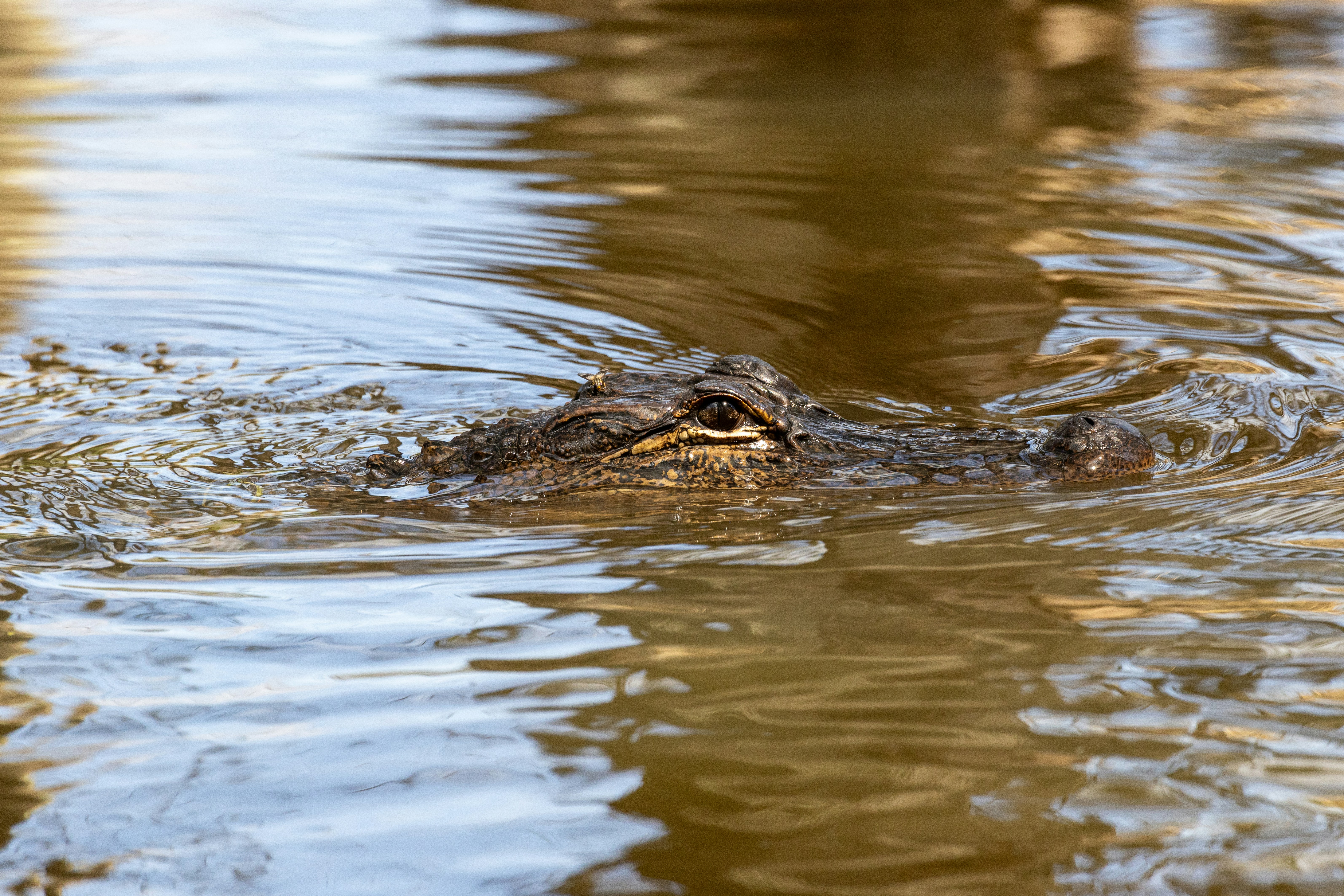 Photo by samarthkuls